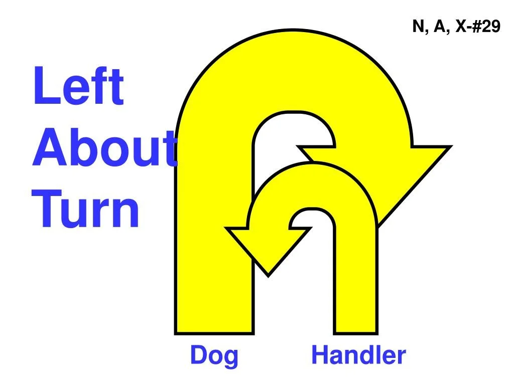 Diagram showing the left turn arrow symbol with the text "Left About Turn" to the left, and the words "Dog" and "Handler" below the arrow.
