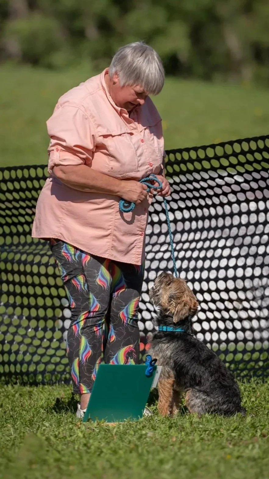 Older woman holding a leash and training a dog outdoors at a fenced area.