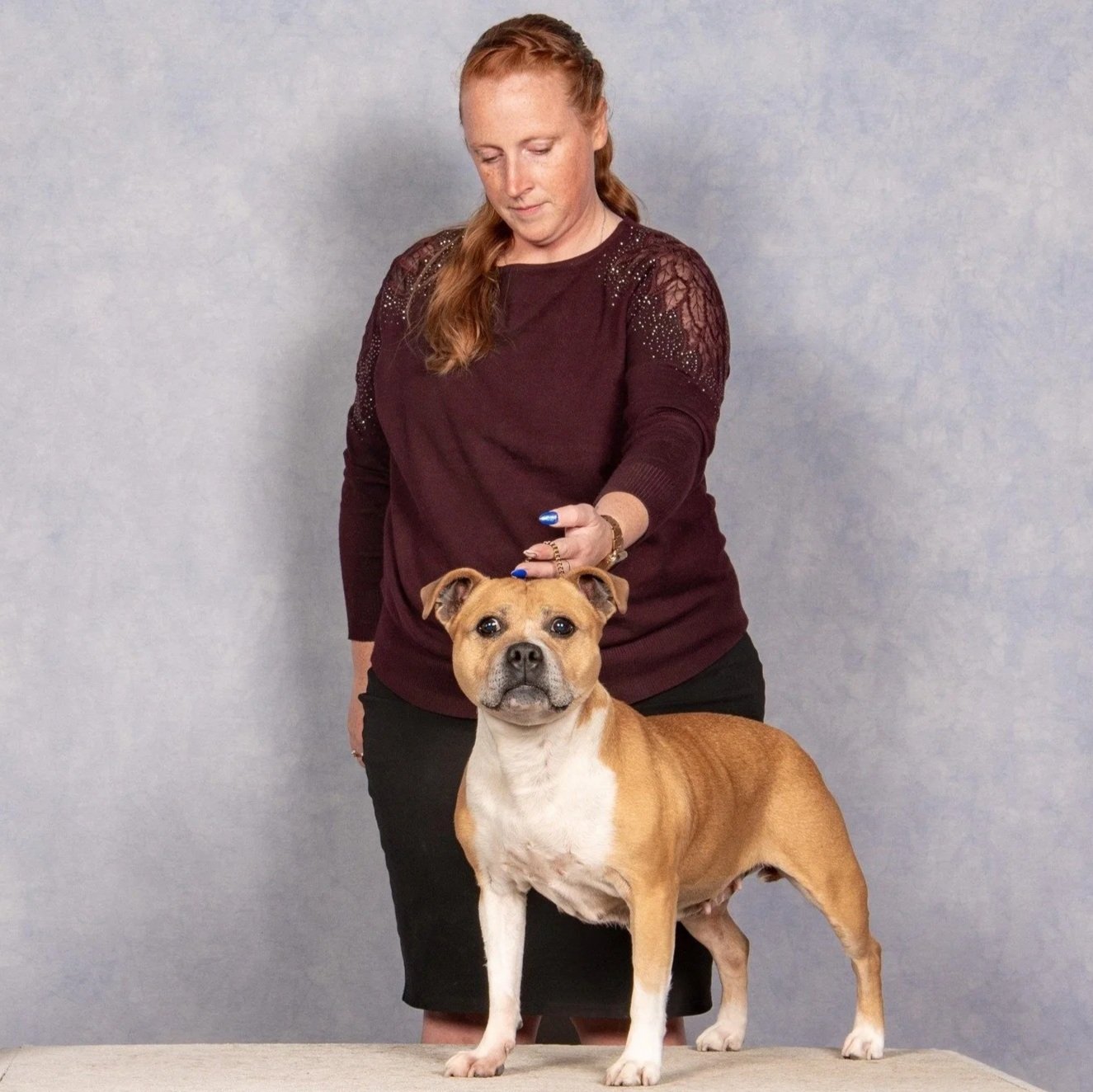 A woman with red hair standing behind a tan and white Staffordshire Bull Terrier, touching its head, against a plain gray background.