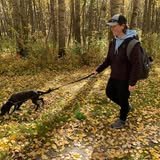 Person walking a dog on a trail in a forest during daylight