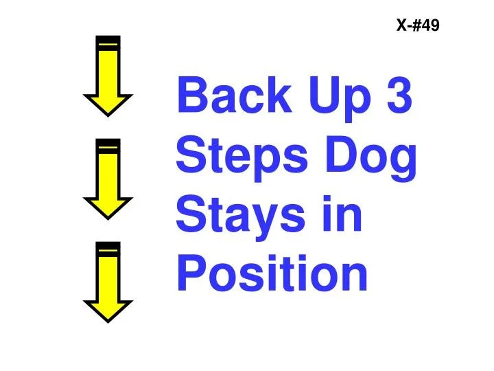 Instructional guide with three downward-pointing yellow arrows next to text that says "Back Up 3 Steps Dog Stays in Position" in blue font, with a small label at the top right corner reading "X-#49."