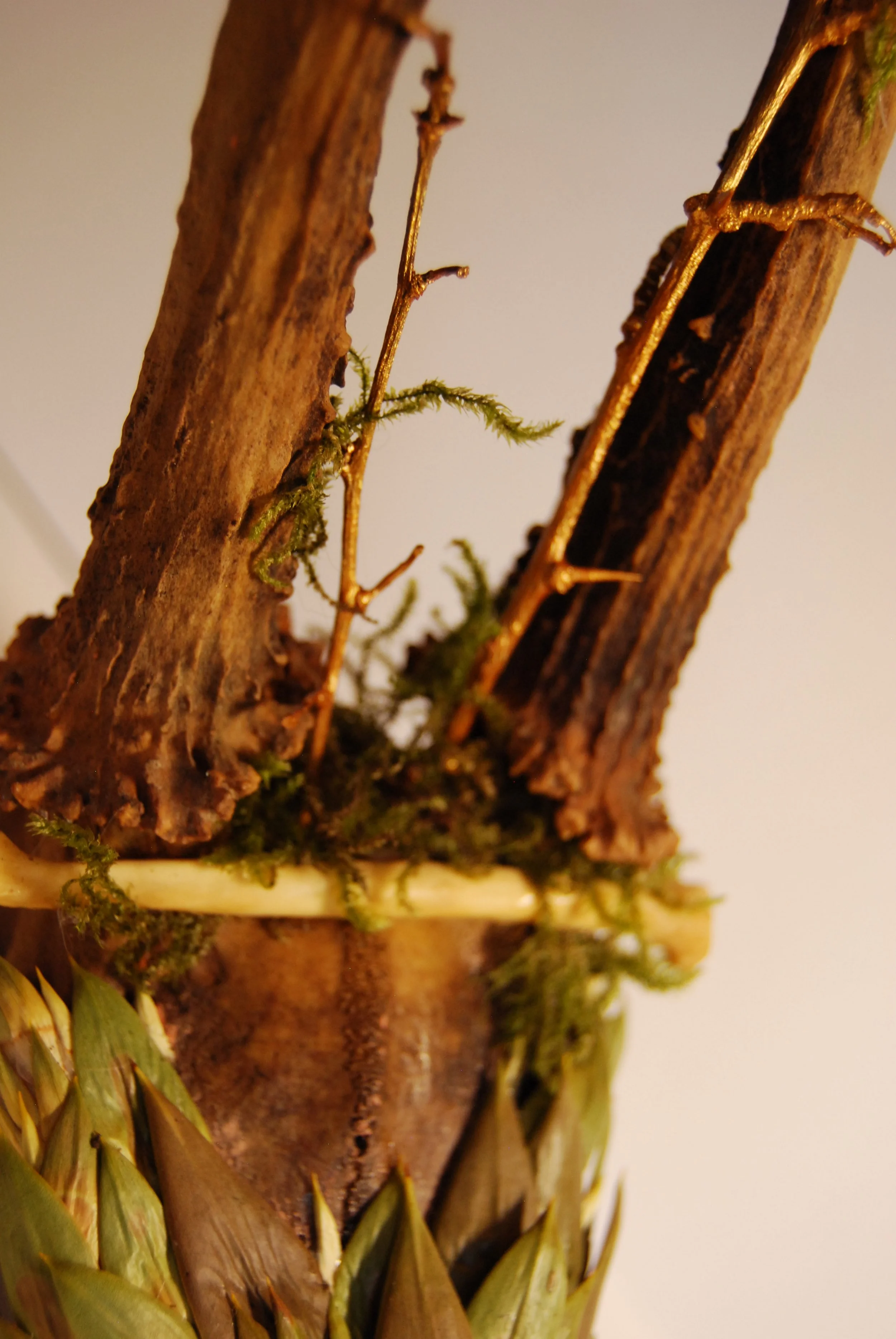 Close-up of two weathered pieces of wood with moss and small plants growing between them.