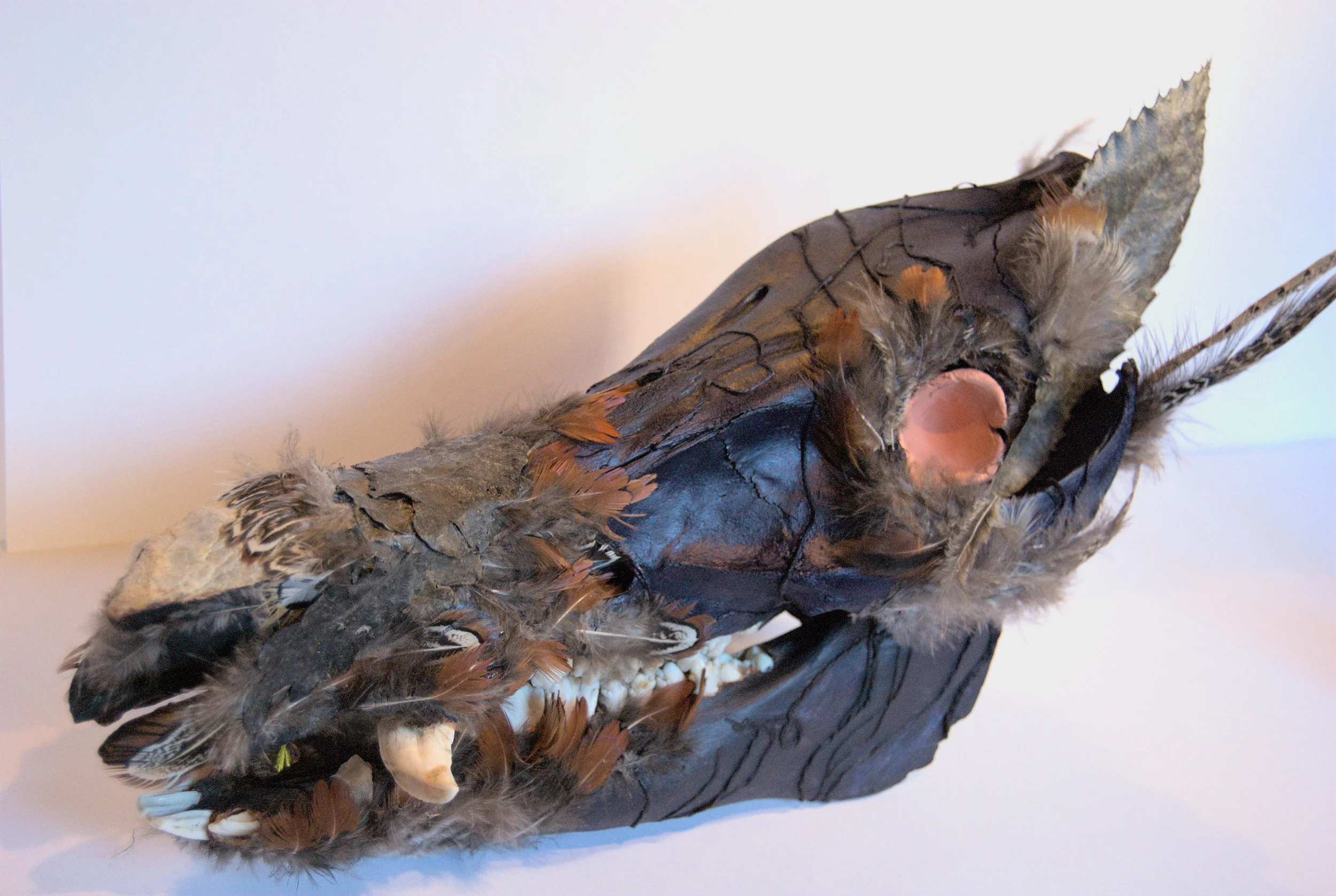 A mounted bird specimen displayed on a black wooden base, showcasing detailed feathers, beak, and bird's anatomy.