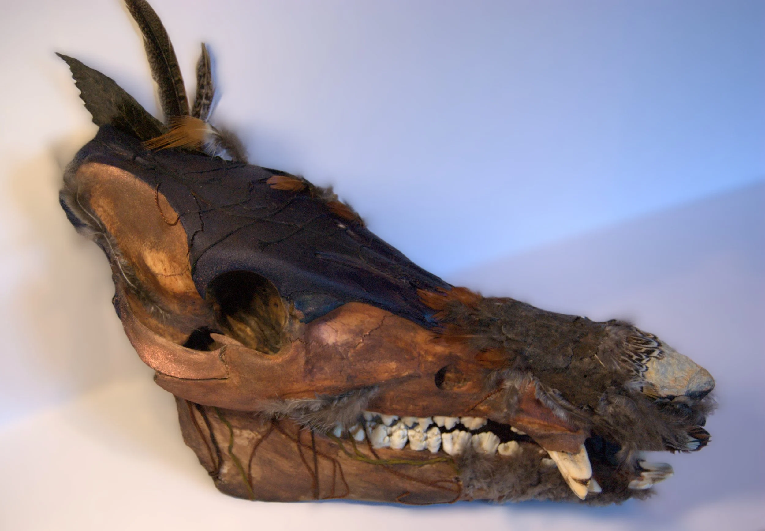Animal skull with black and brown feathers and fur, mounted on a piece of wood or bark.