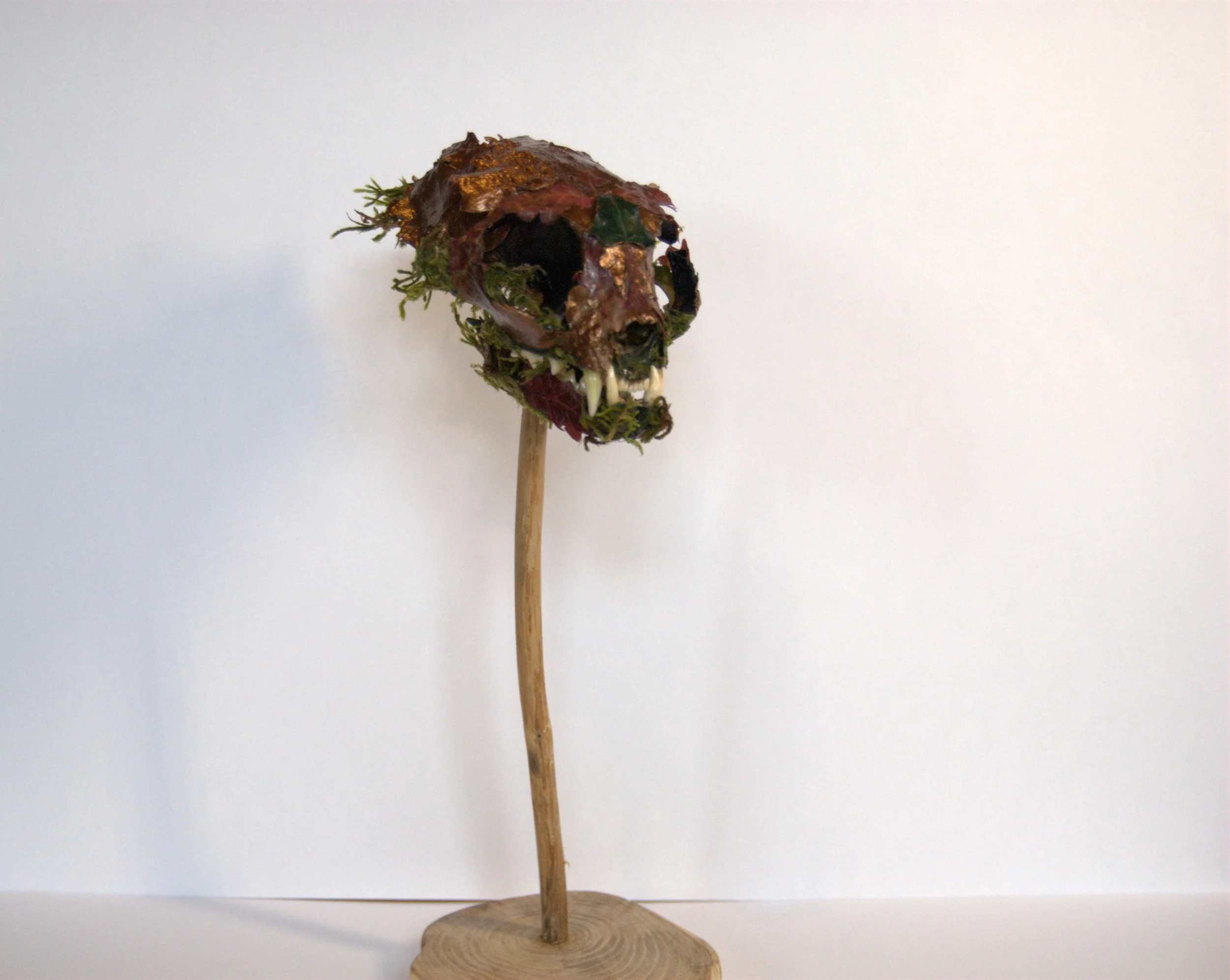 An artistic sculpture resembling a skull with sharp teeth and hollow eyes, mounted on a wooden stand, made from natural and preserved materials like moss, leaves, and bark, against a plain white background.