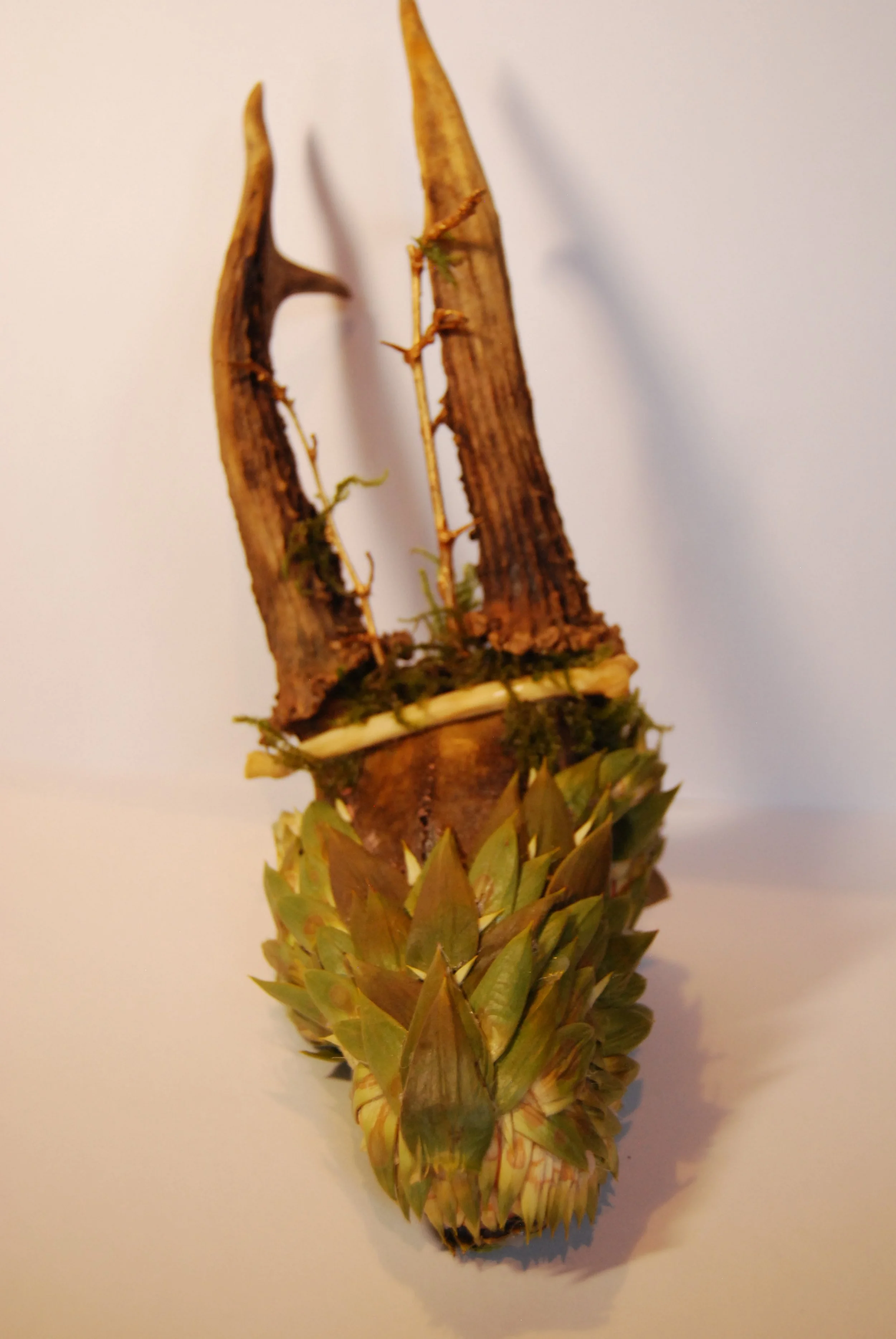 A sculpture made from a deer skull , with two antlers or horn-like branches attached to the top, coveredwith araucaria leaves.