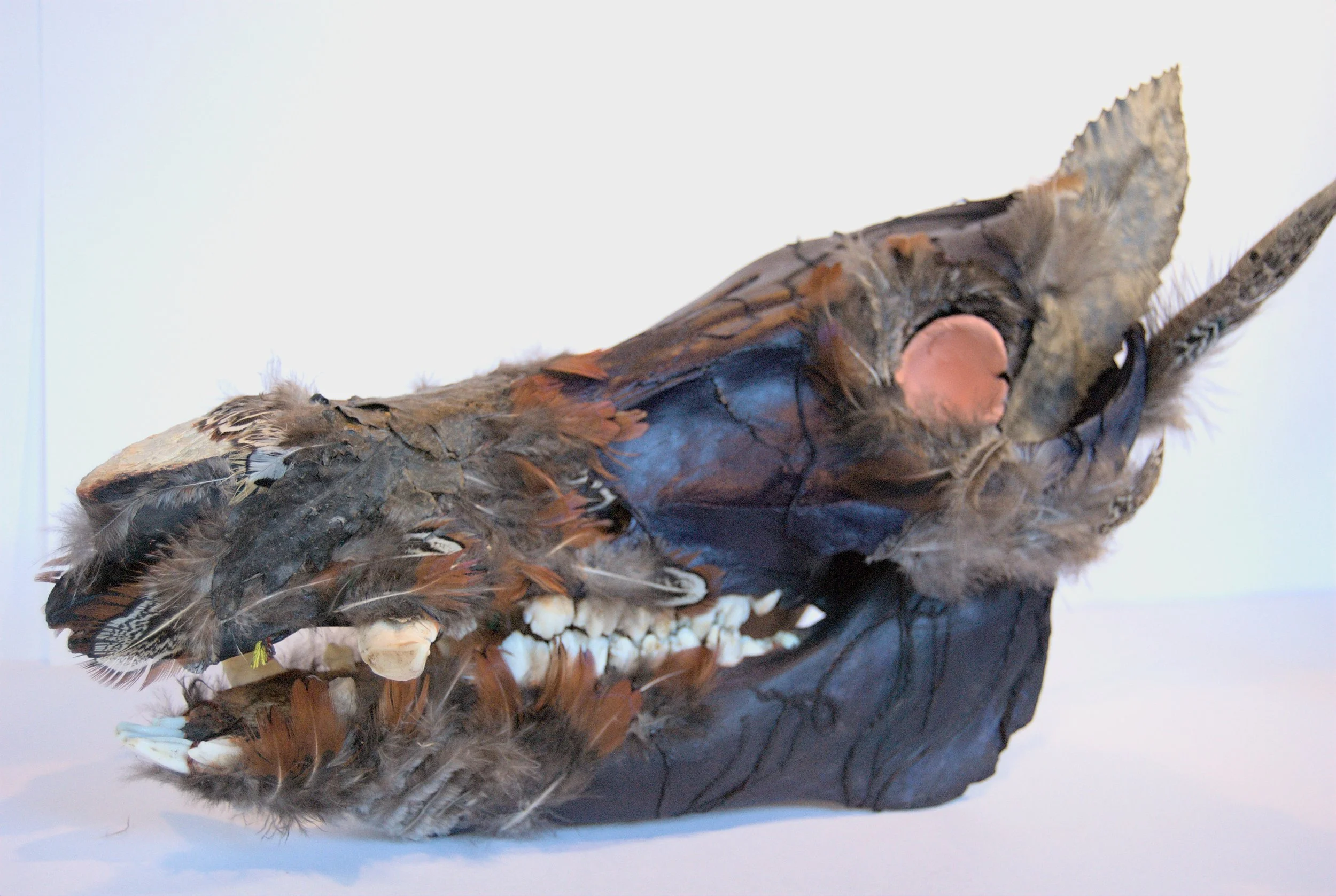 A mounted animal head with feathers and fur, displayed on a black base.