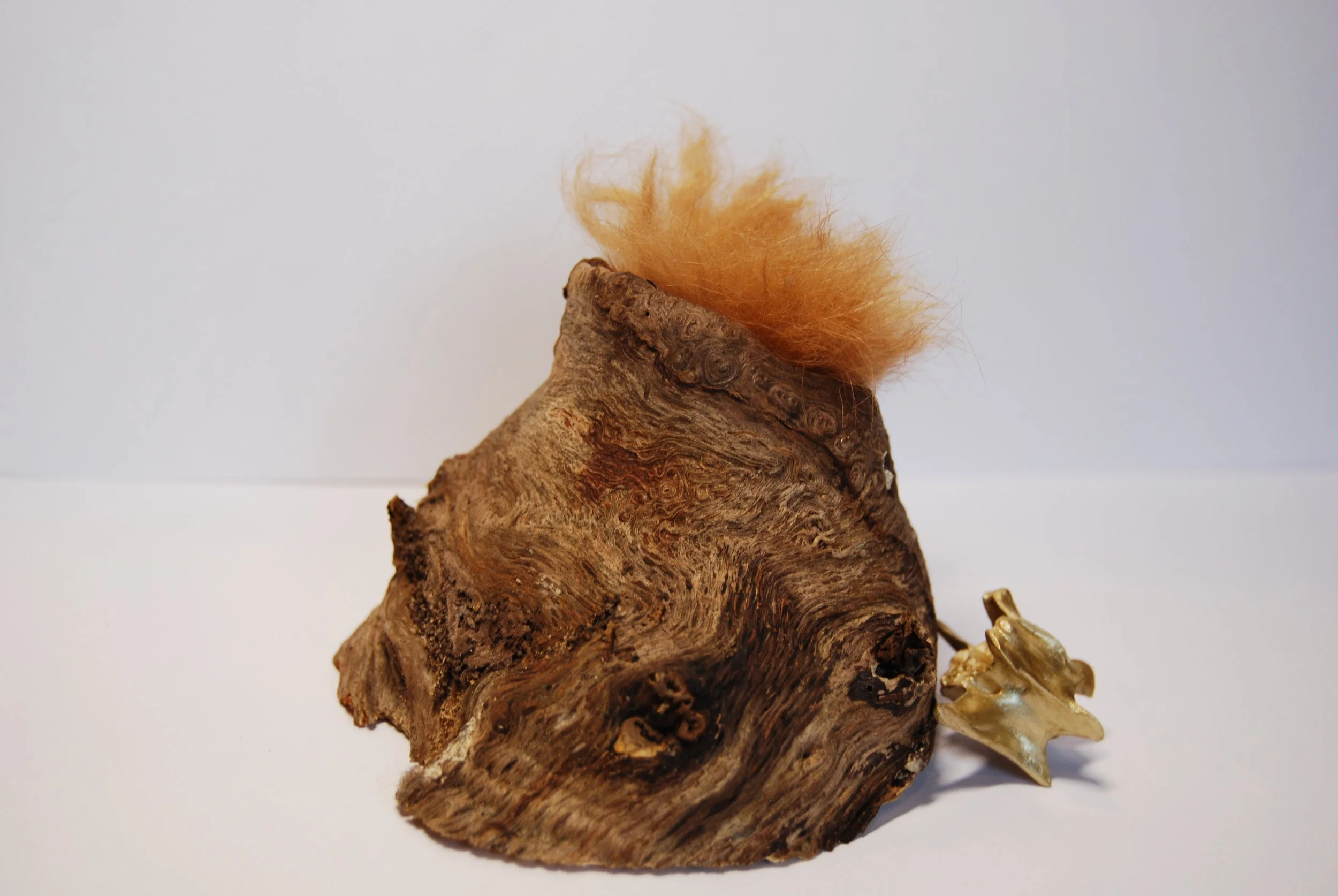 A decorative arrangement of a piece of weathered wood with a tuft of light brown hair and a small gold-colored ornament.