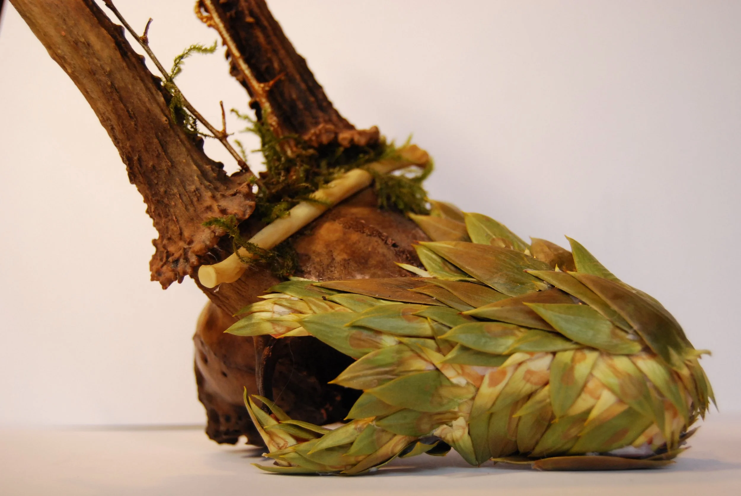A decorative arrangement of natural materials including a large artichoke and pieces of moss and bark.