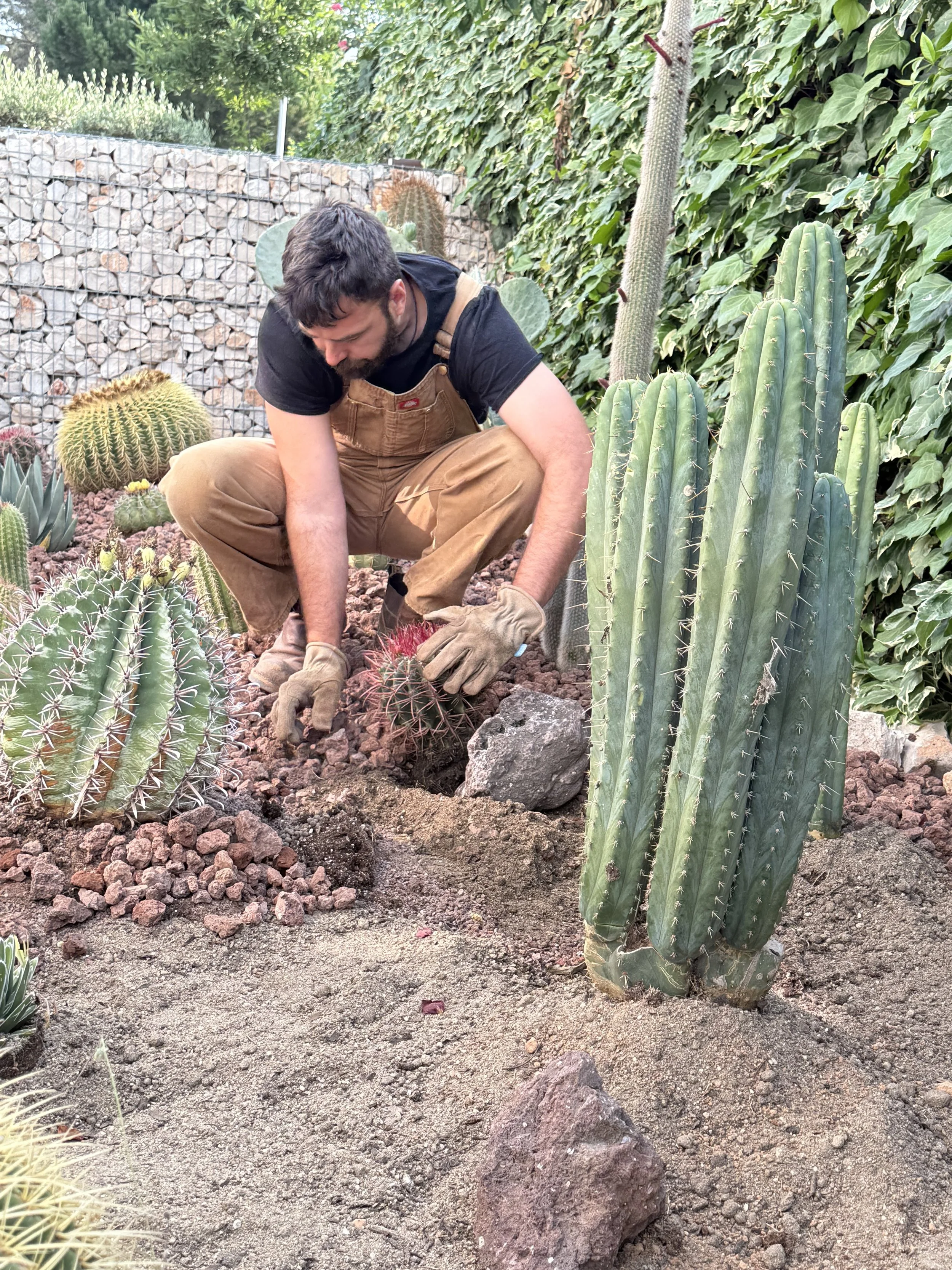 Inteligencia Ecológica: El arte de elegir la vegetación según el terreno