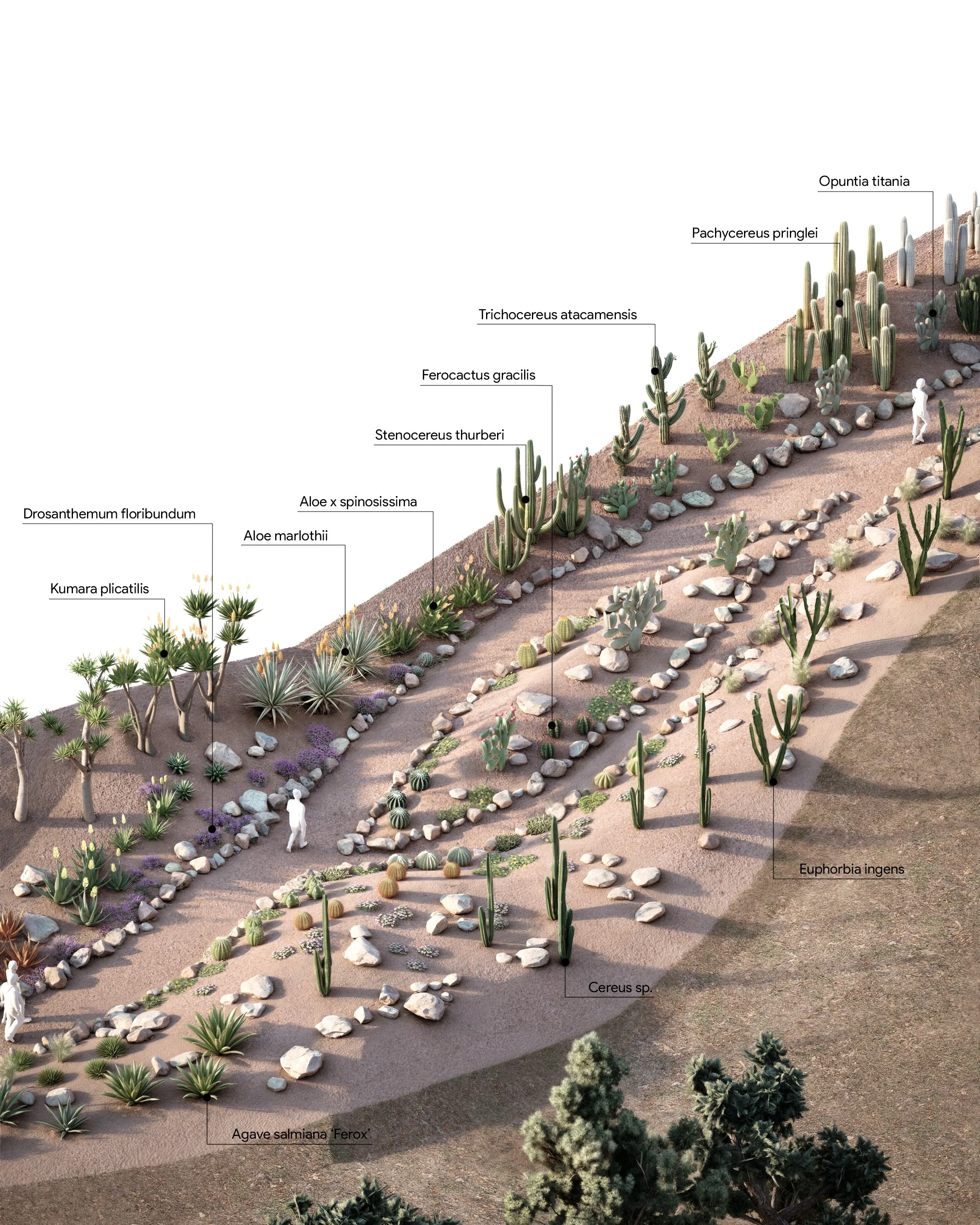 Diseño de Jardine.jpg