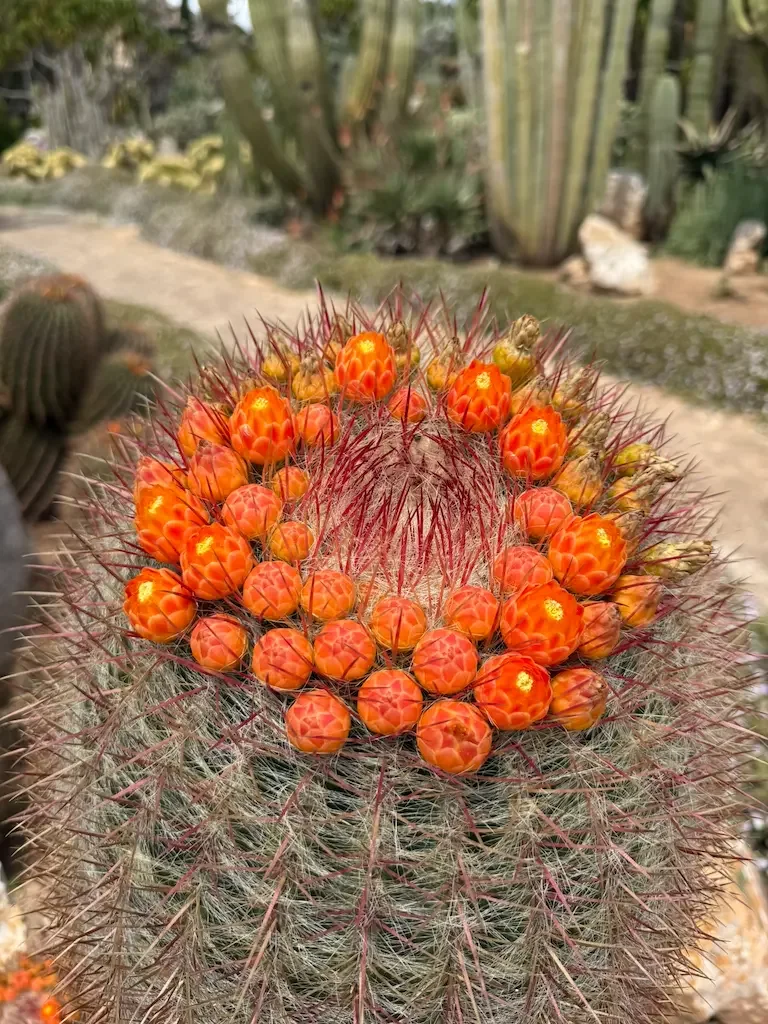 SUMINISTRO DE PLANTAS ESPECIALES