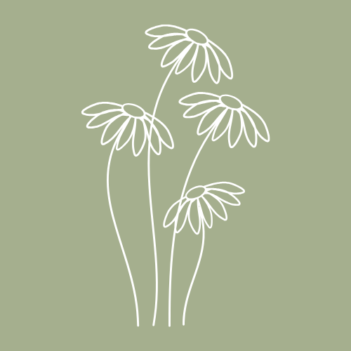 NDIS psychology in Frankston, Mornington, Mornington Peninsula