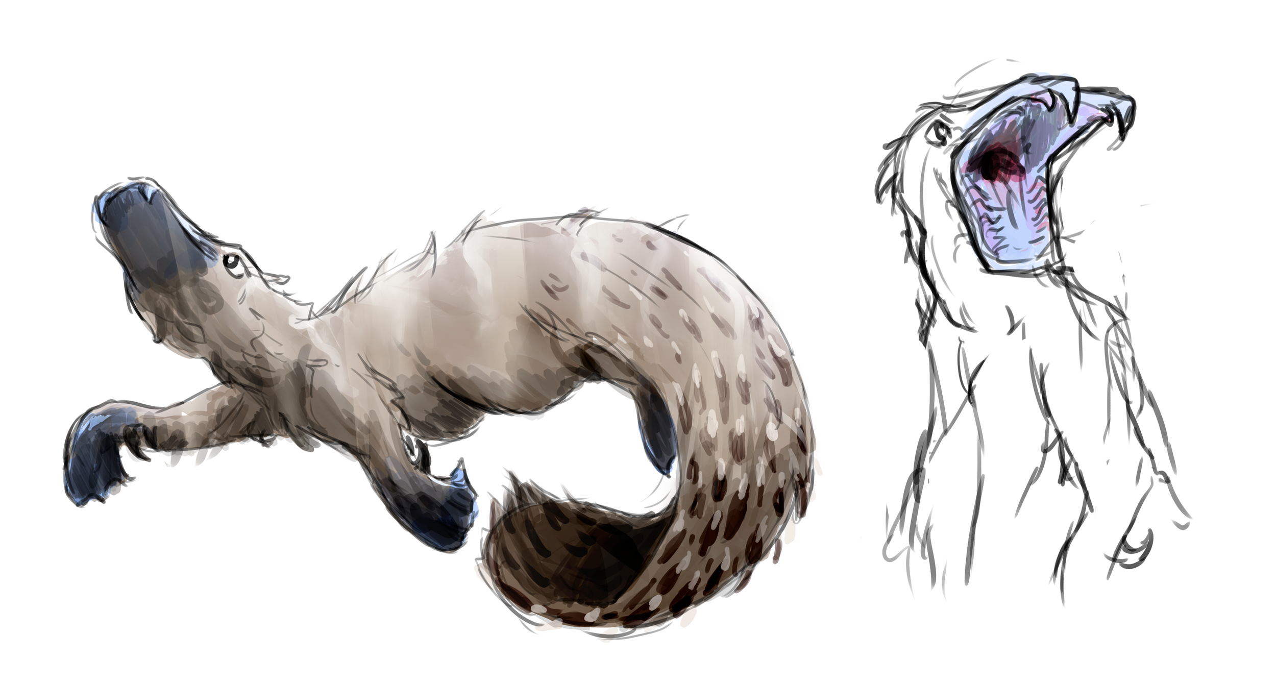 Platypus beast 2.png