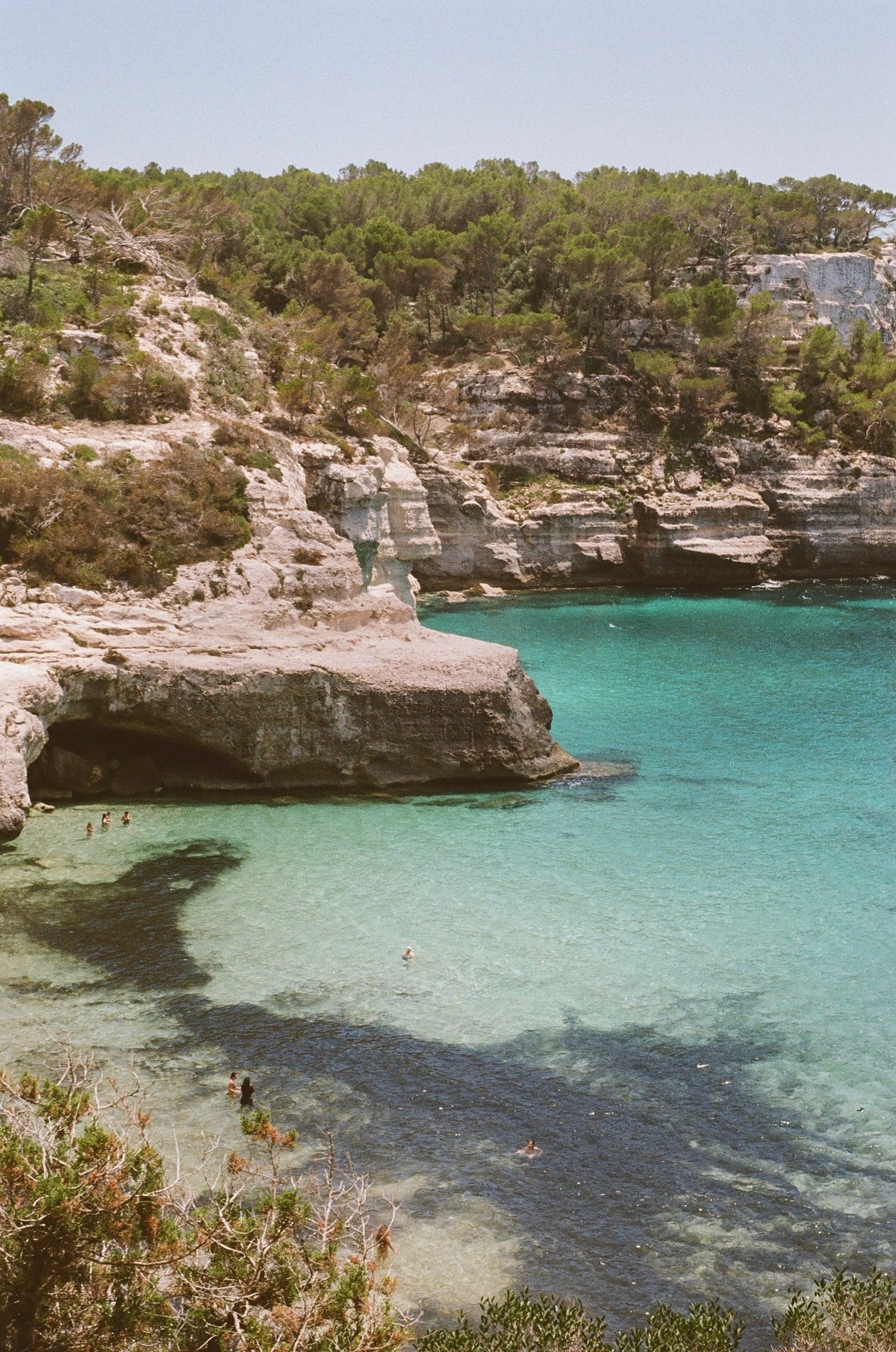 Film Photos - 339 of 727.jpeg