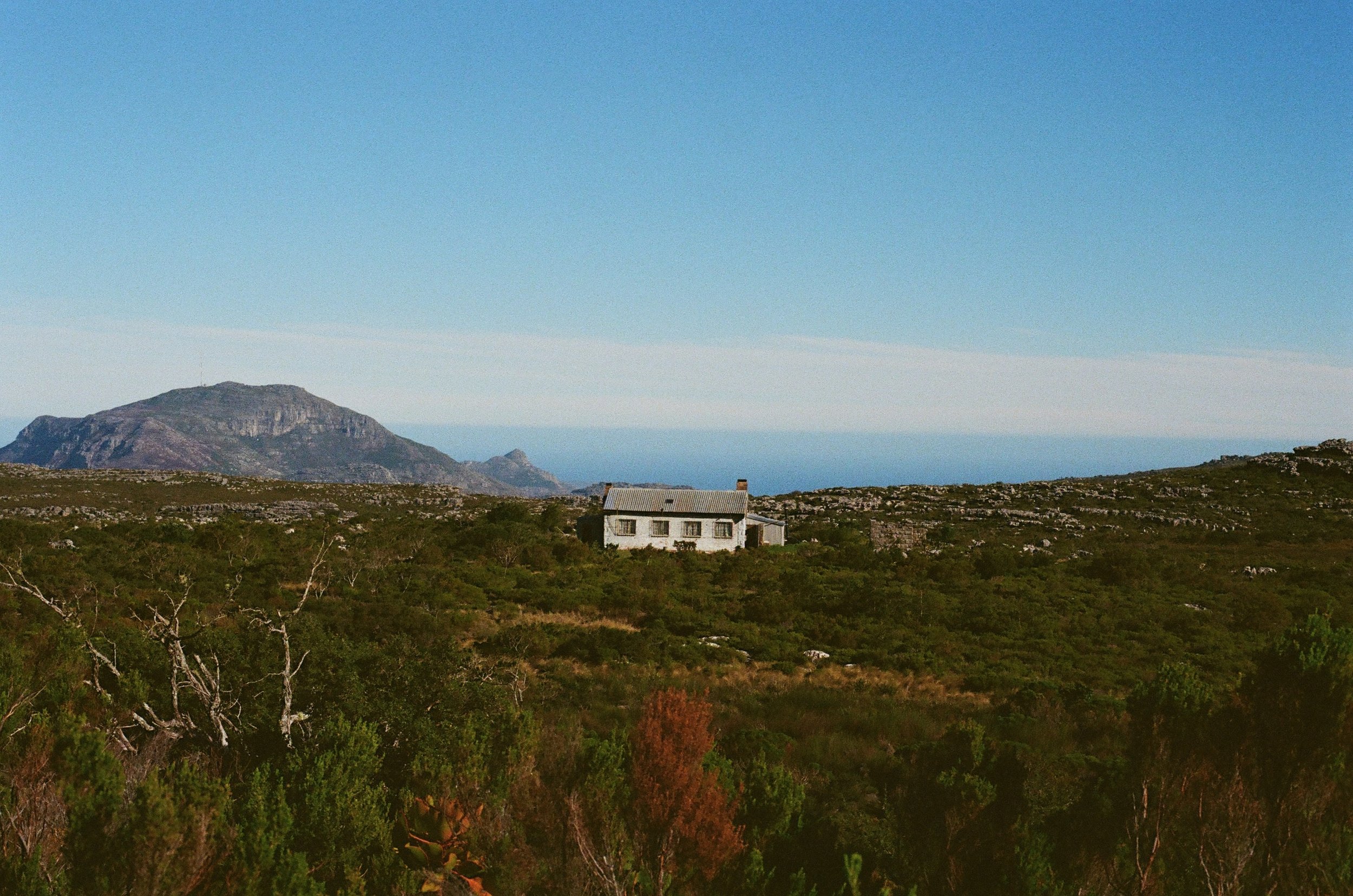 Film Photos - 76 of 727.jpeg