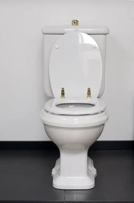 $499 Toilet Installation Promo