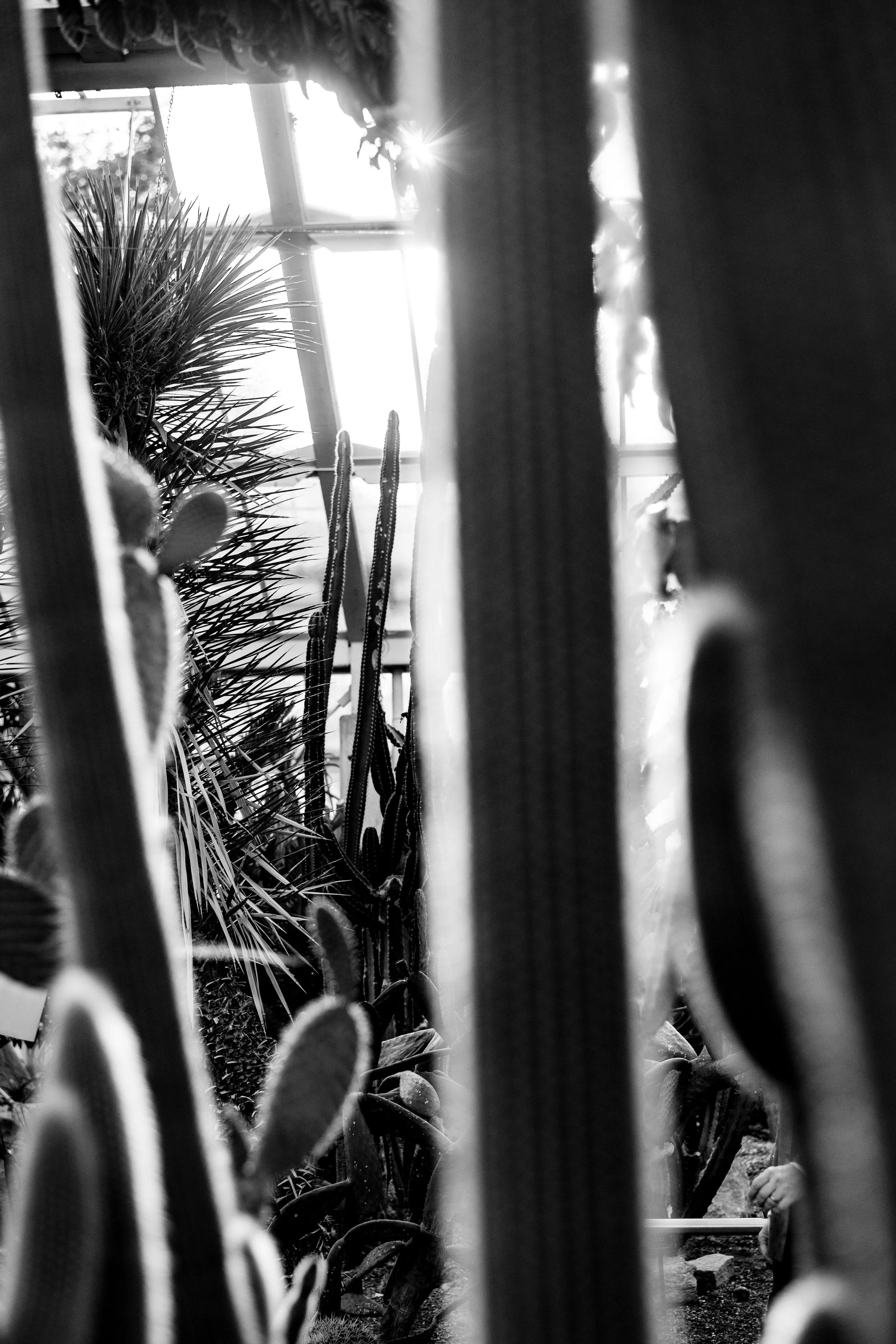 Gabriela&ZiadWedding-JonnyBarrattPhotography-0493.jpg