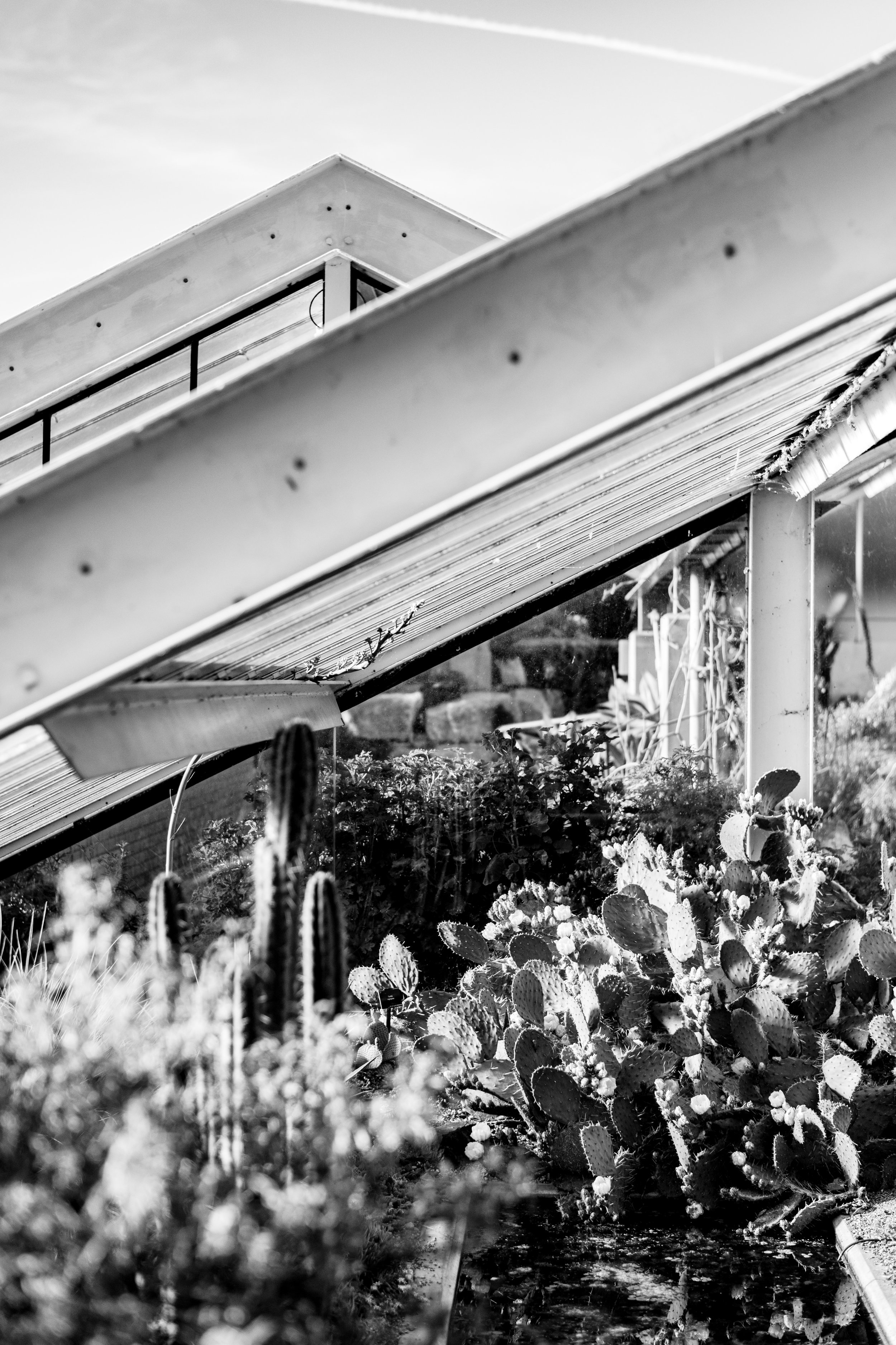 Gabriela&ZiadWedding-JonnyBarrattPhotography-0543.jpg