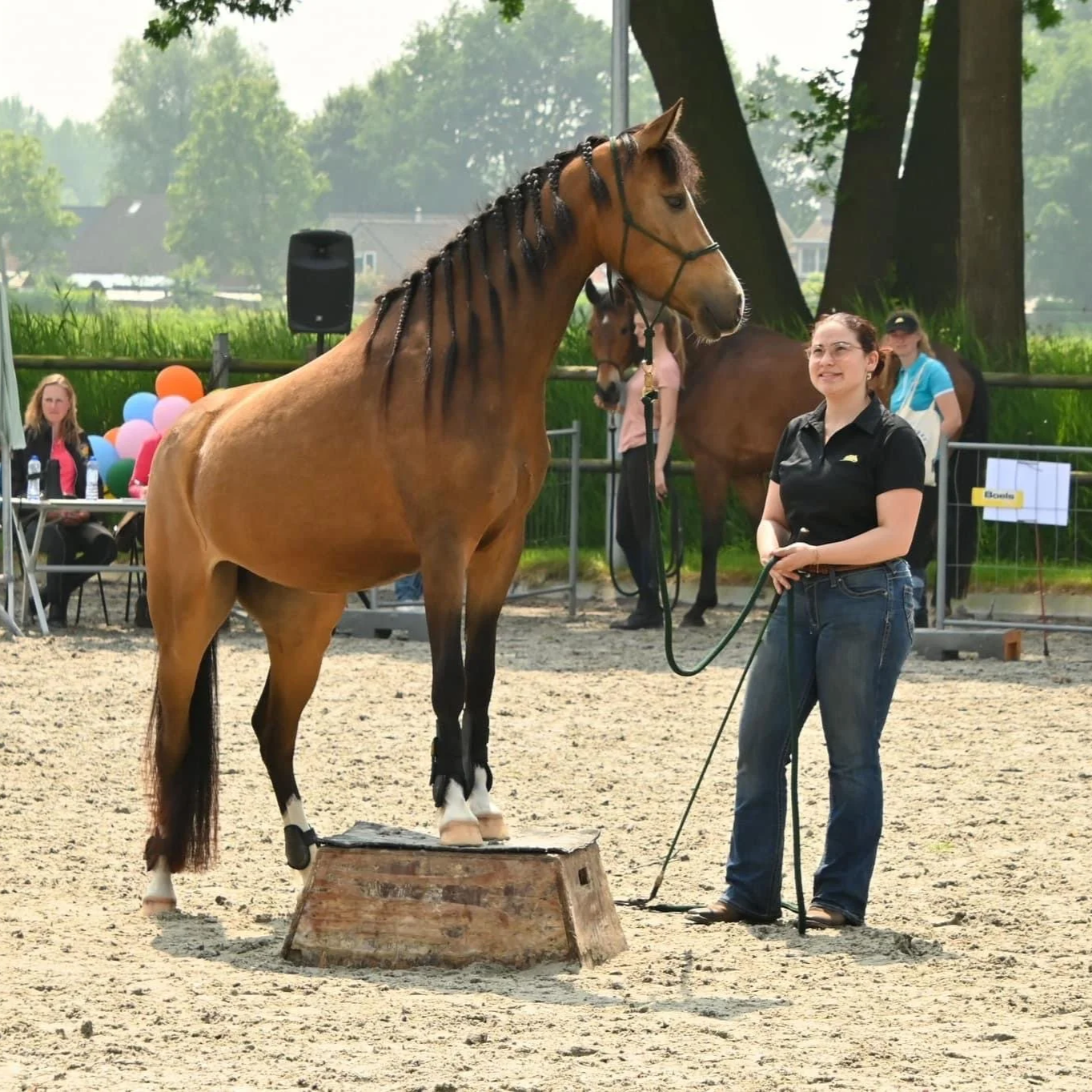Privé les of training op ZeggeZicht