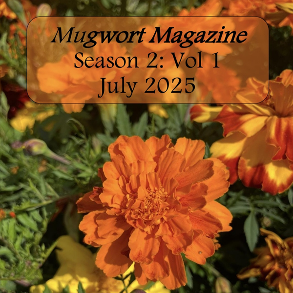 "The Biologists Are Capturing Deer By Helicopter" MUGWORT MAGAZINE