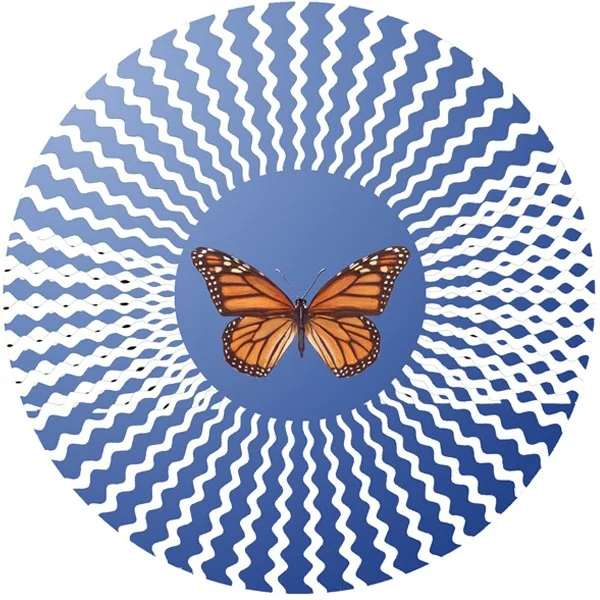 “Increasingly Visible” CONDUIT