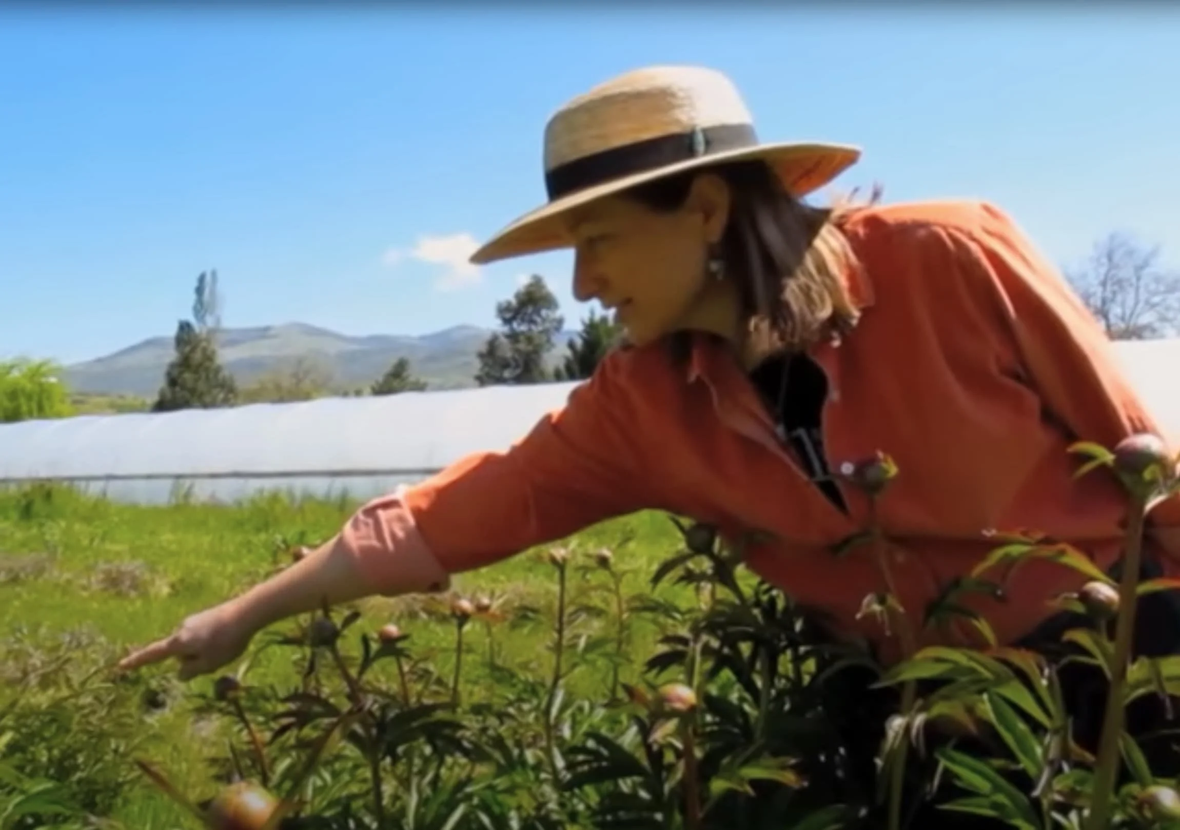 Empowered Peony Picking