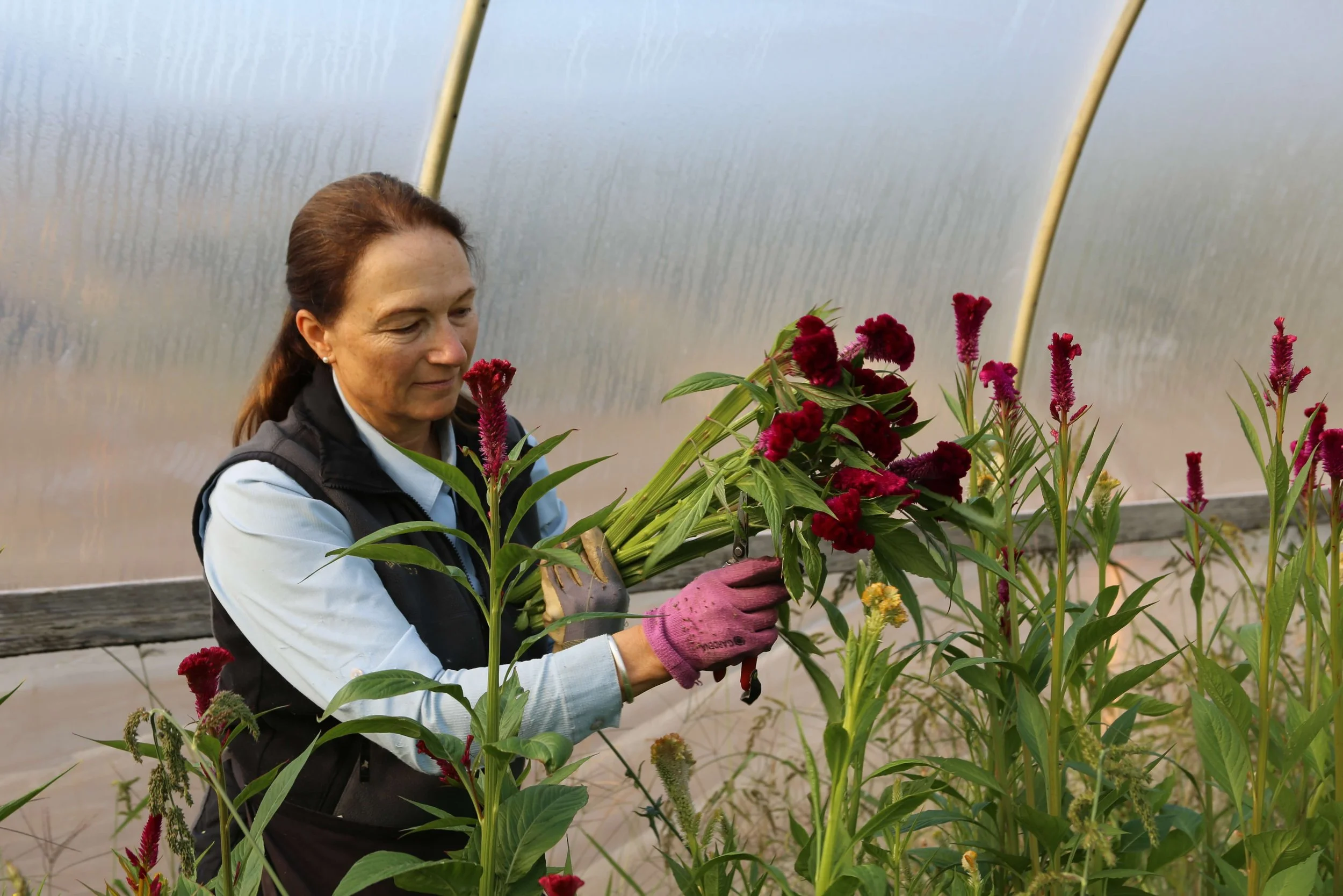 Episode 359: Slow Flowers Podcast Turns 5