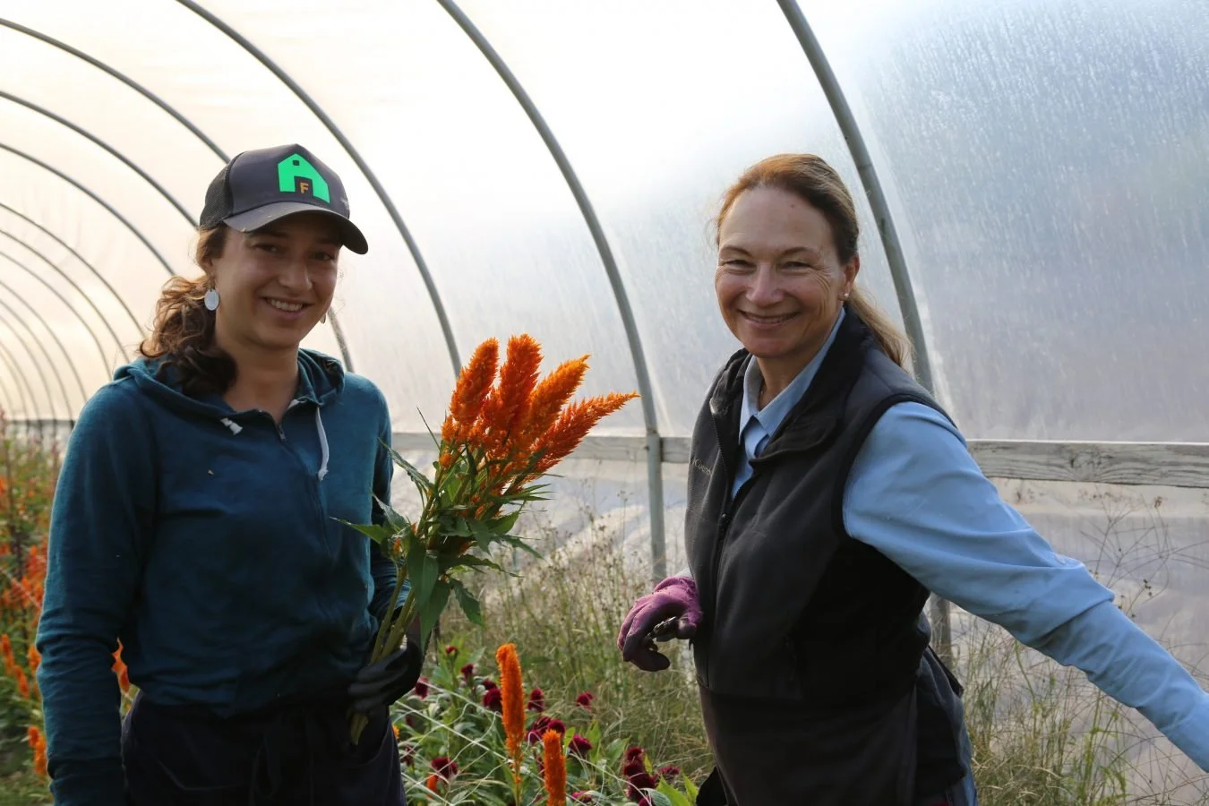 BLOOM — A Portrait of Oregon Organic Flower Farmer Joan Thorndike