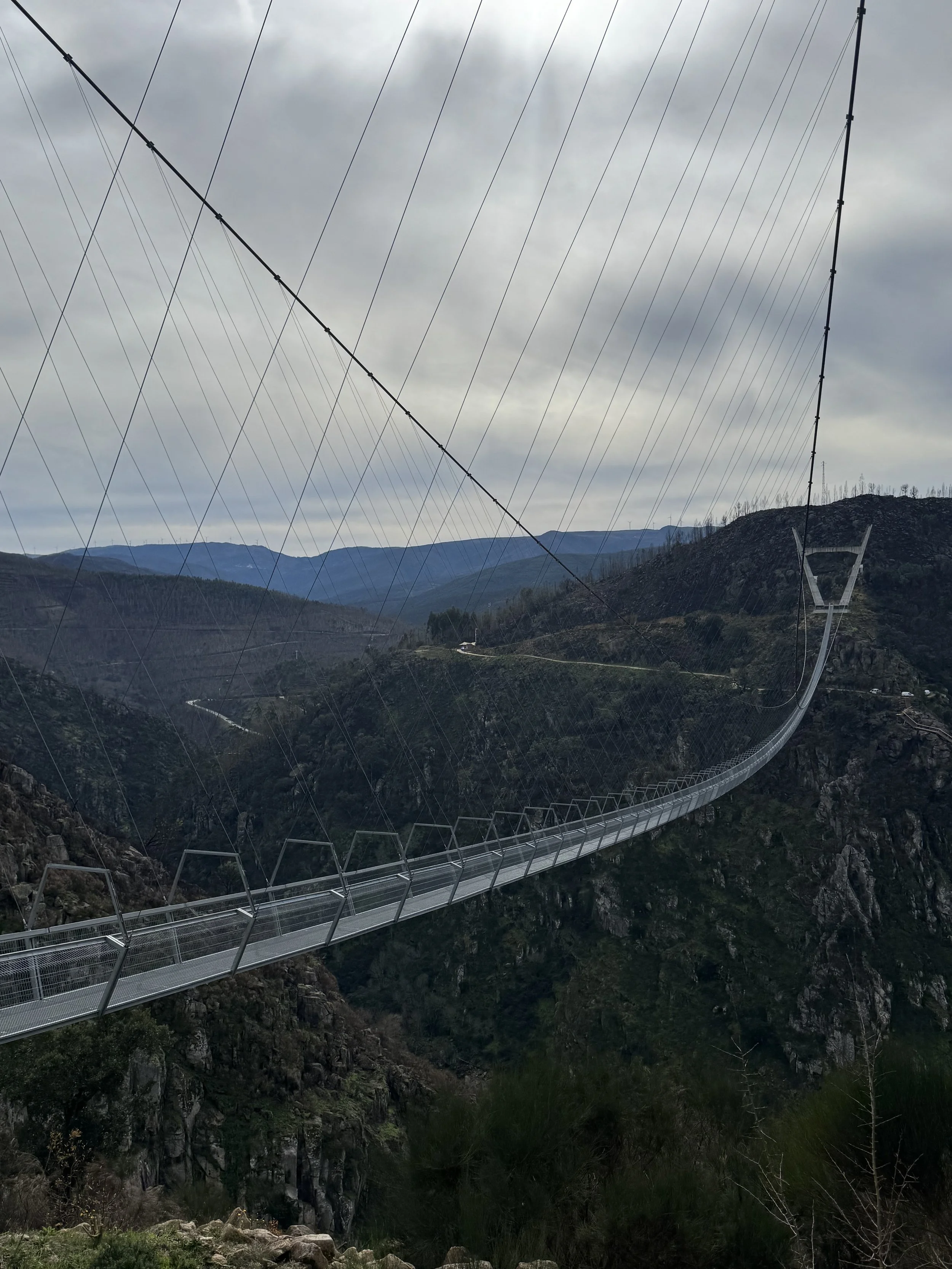 Suspension Bridge