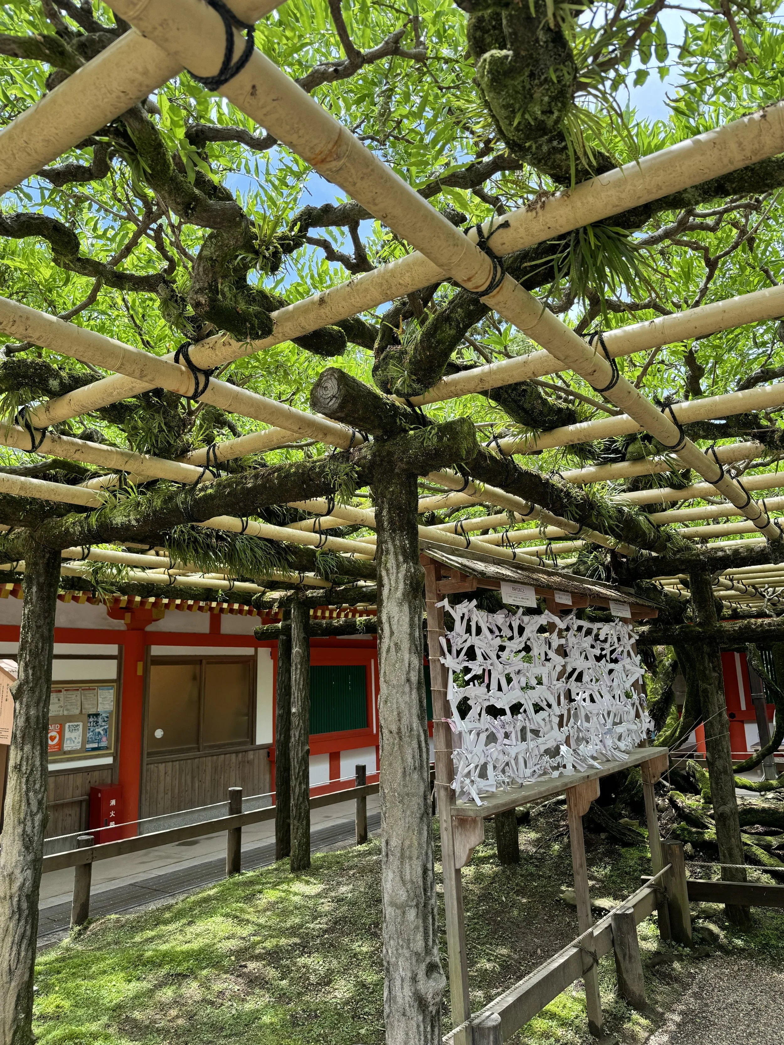 Kasugataisha Shrine