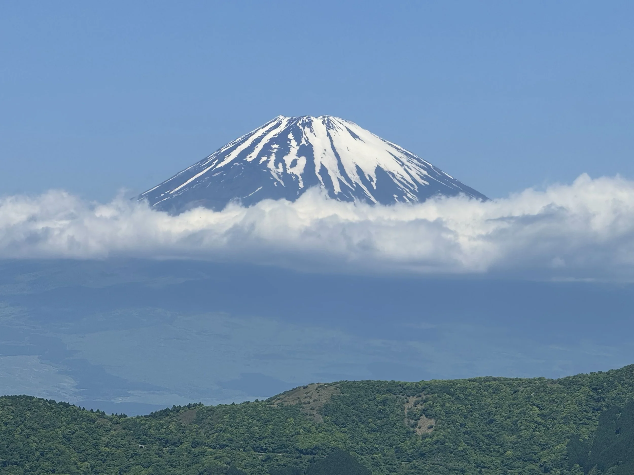 Mt. Fuji