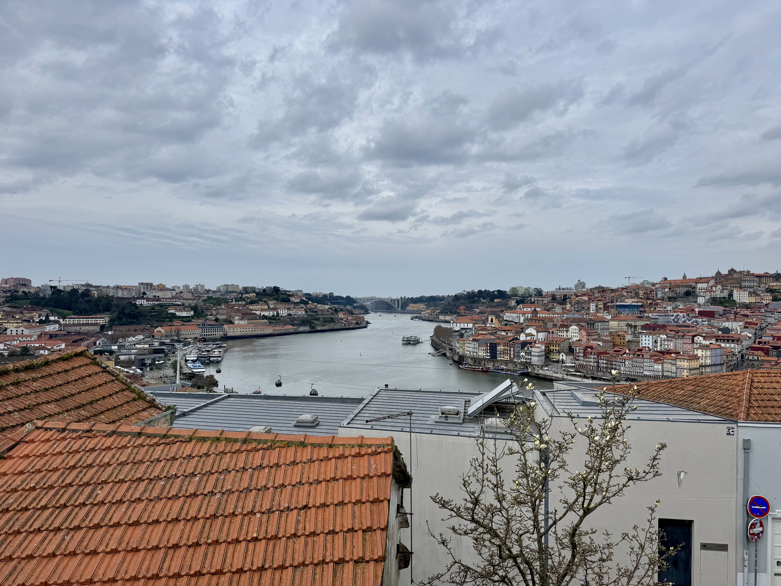 Douro River View
