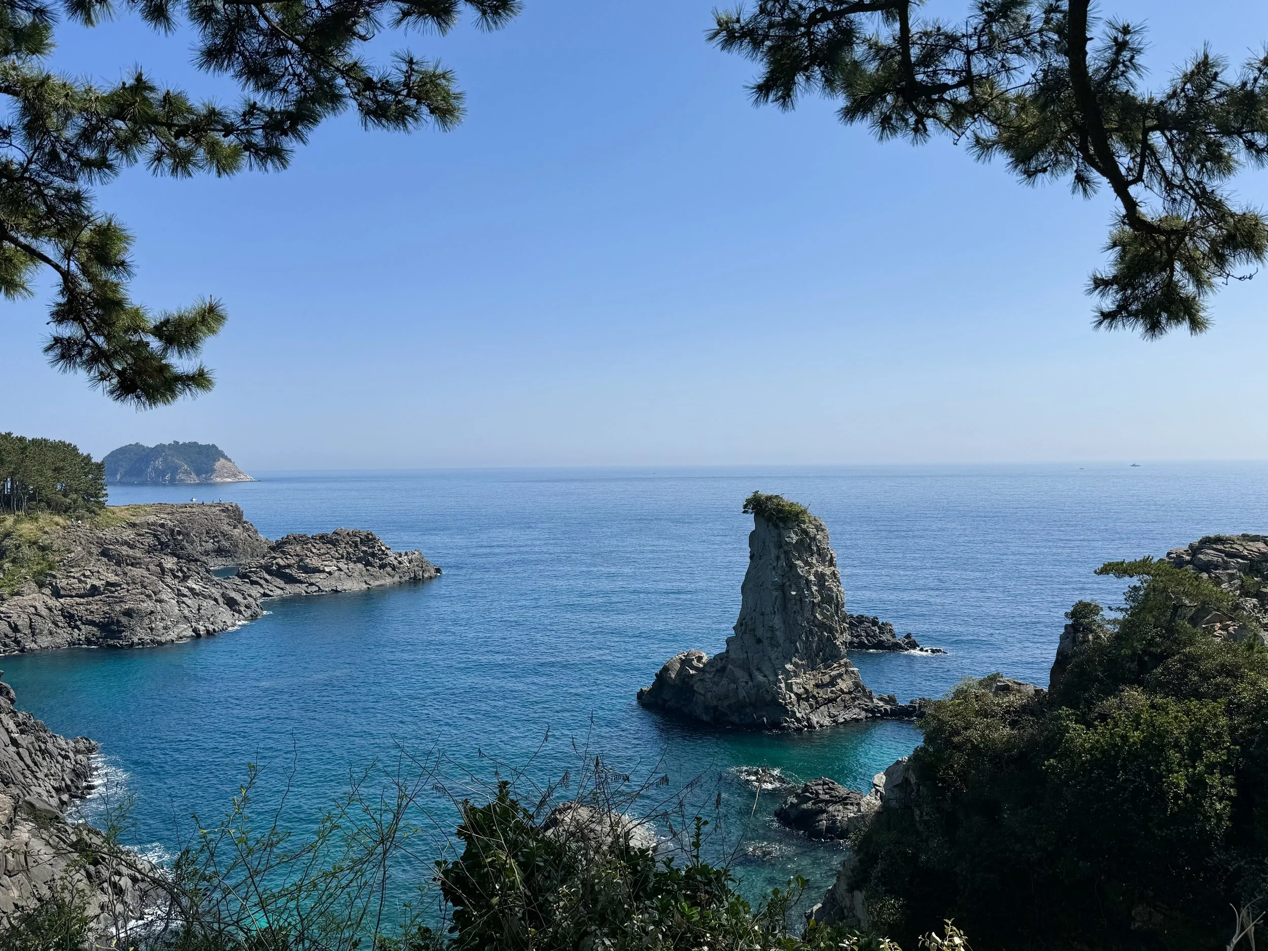 Oedolgae Postcard View