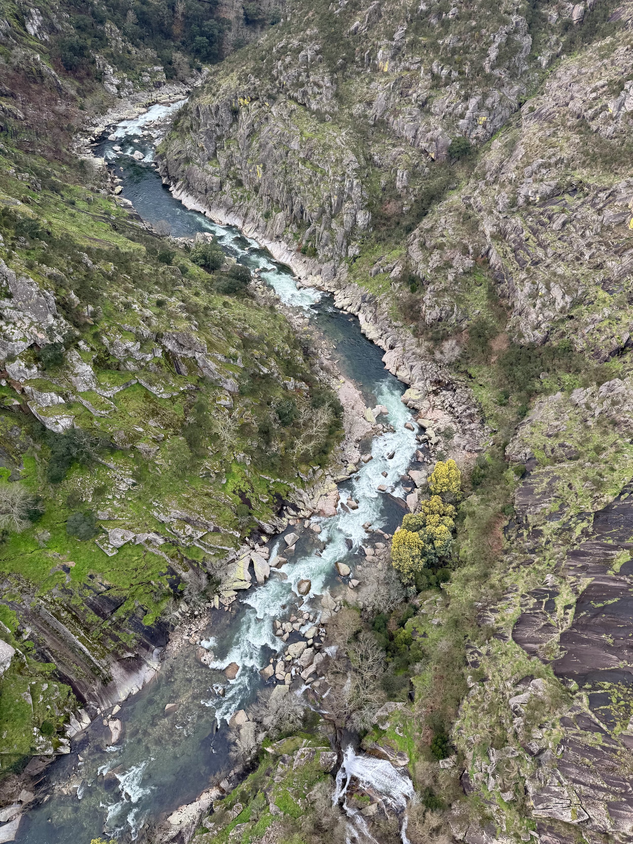 Winding Paiva River View