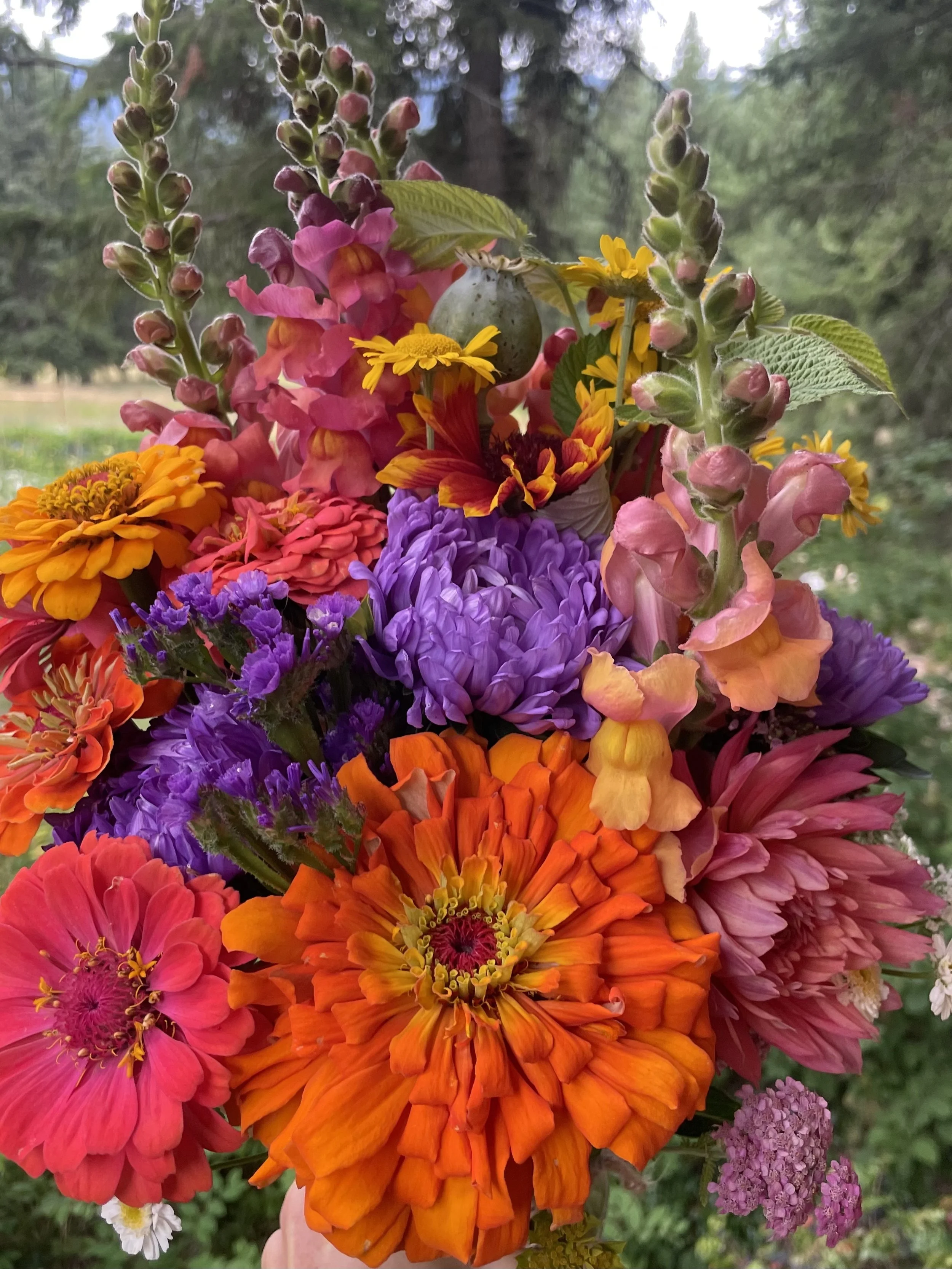 A vibrant bouquet of mixed colorful flowers, including orange, purple, pink, and yellow blossoms, with green foliage and a blurred outdoor background.