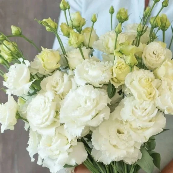 white+lisianthus.jpg