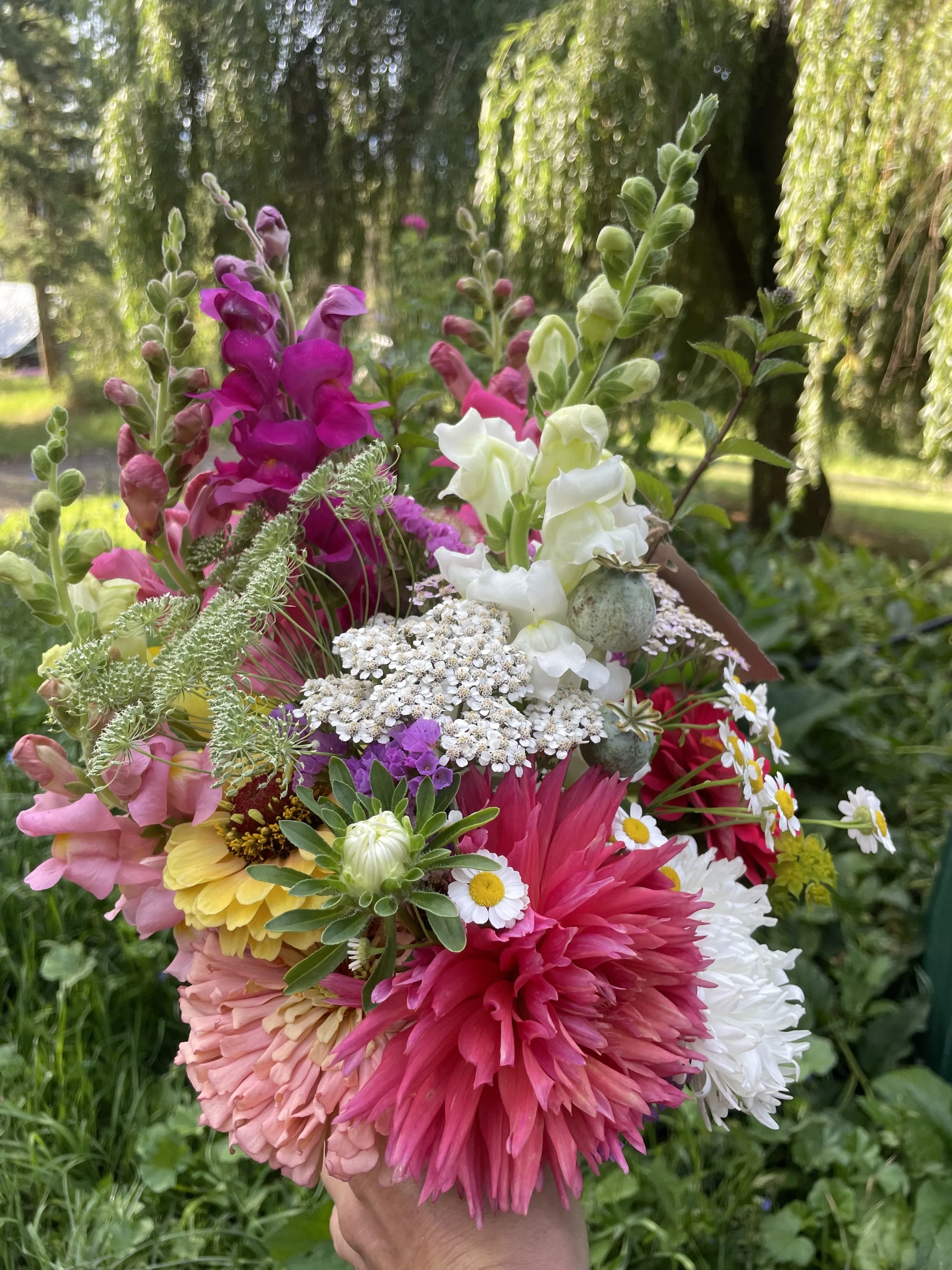 Hand holding a colorful bouquet of various flowers outdoors with green trees and grass in the background.