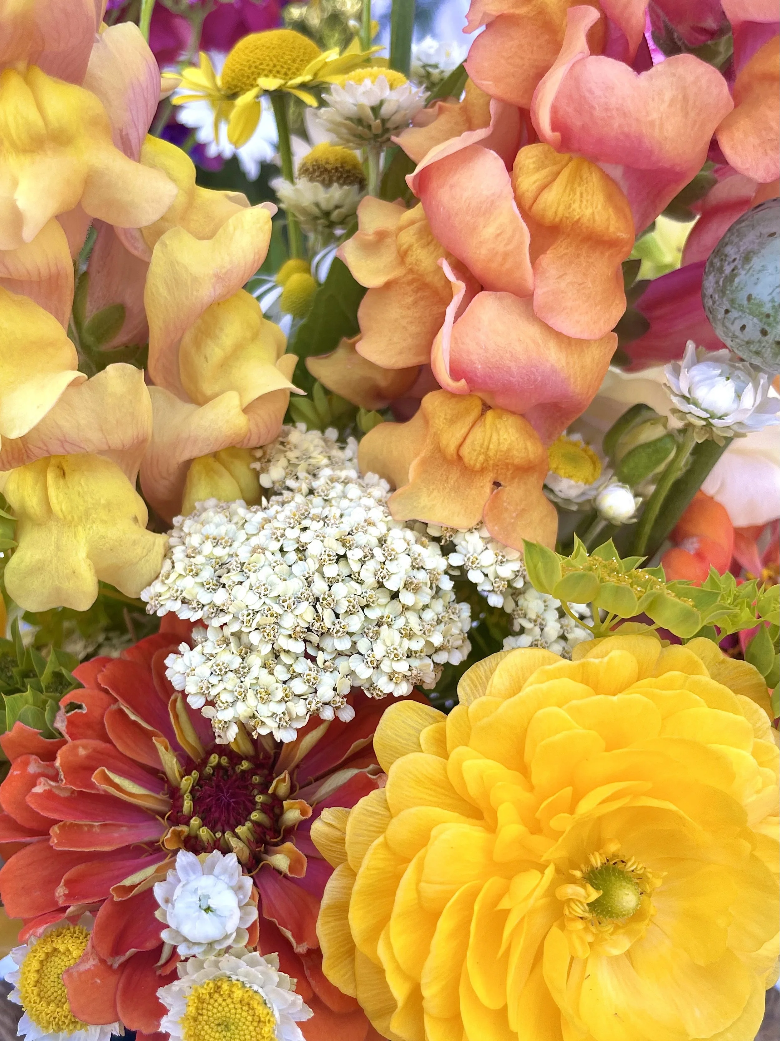 Close-up of a colorful bouquet of flowers including yellow, peach, orange, red, and white blooms.