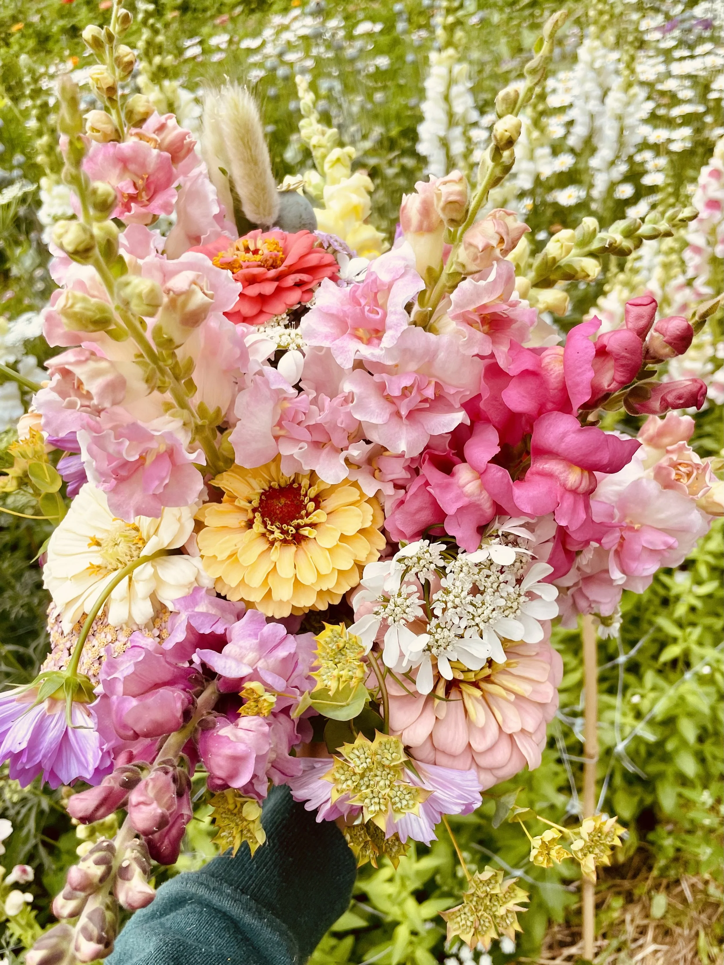 A vibrant bouquet of various colorful flowers, including pink, yellow, purple, and white blossoms with different petal shapes, held by a person wearing a dark green sleeve.