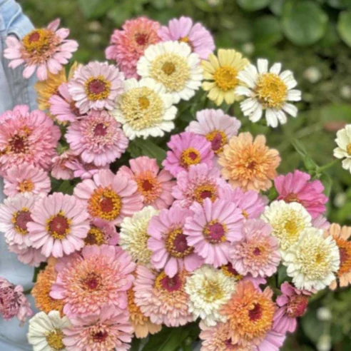 image1_1.webp