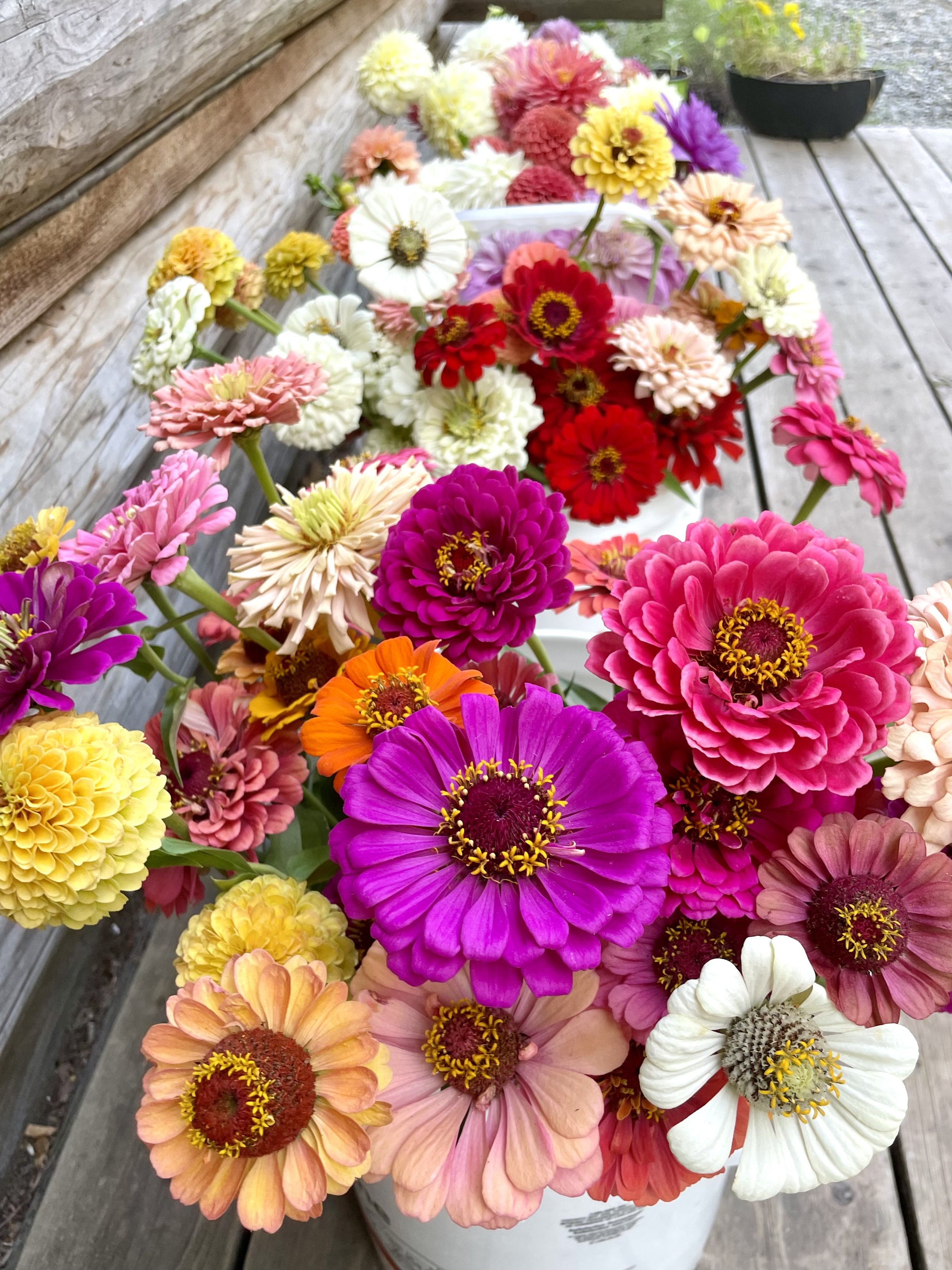 DIY - Buckets of Blooms!