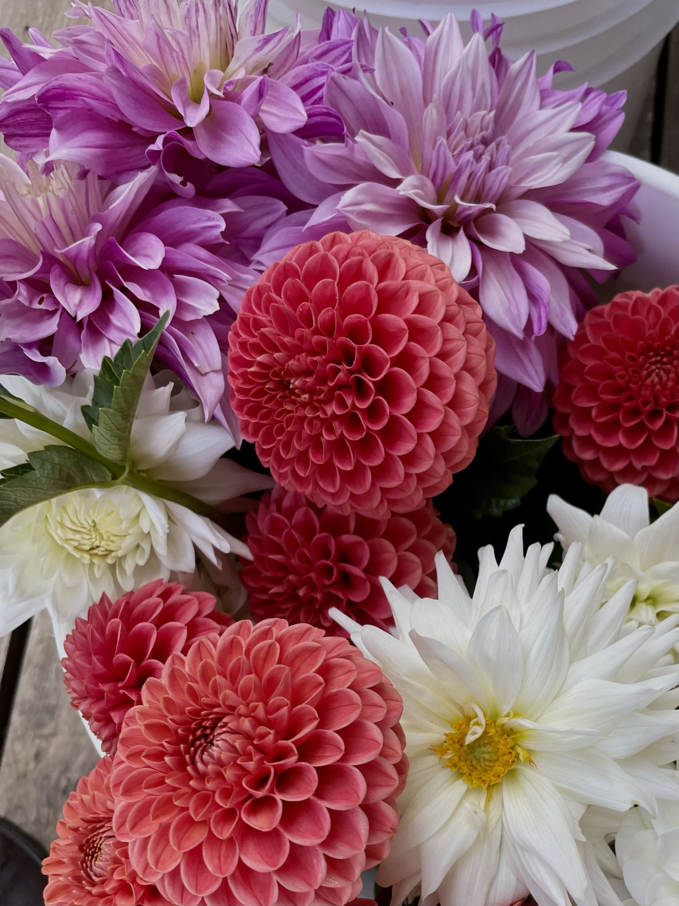 buckets of blooms 3.jpg