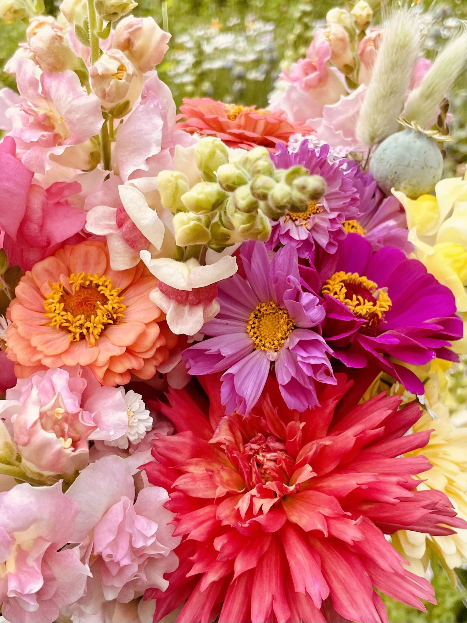 Close-up of a colorful bouquet of various flowers including pink, orange, purple, yellow, and red blooms with green stems and leaves in the background.