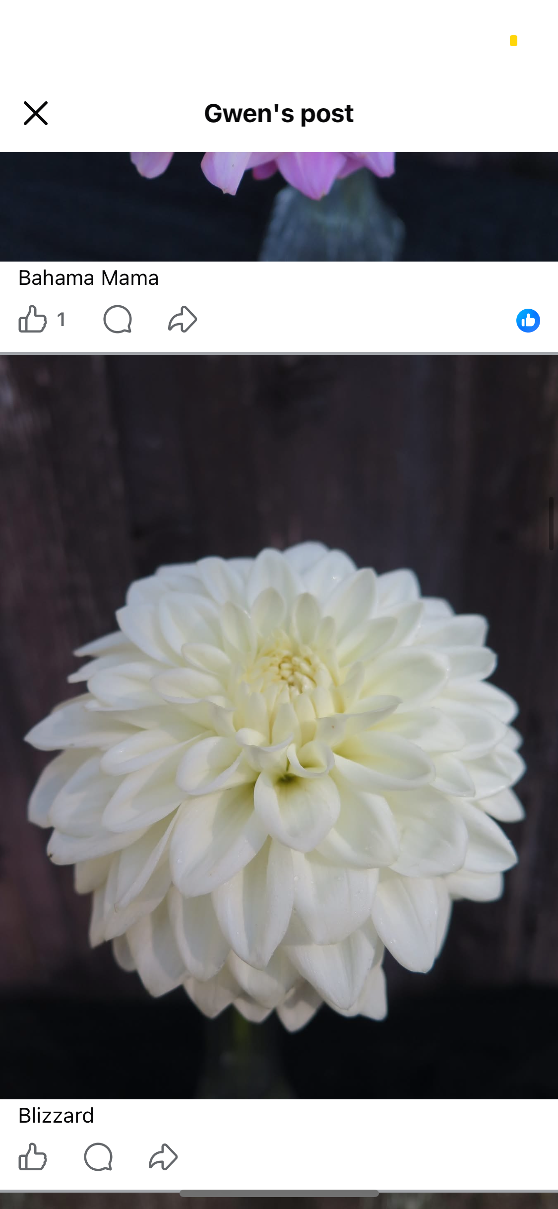 IMG_8533.PNG
