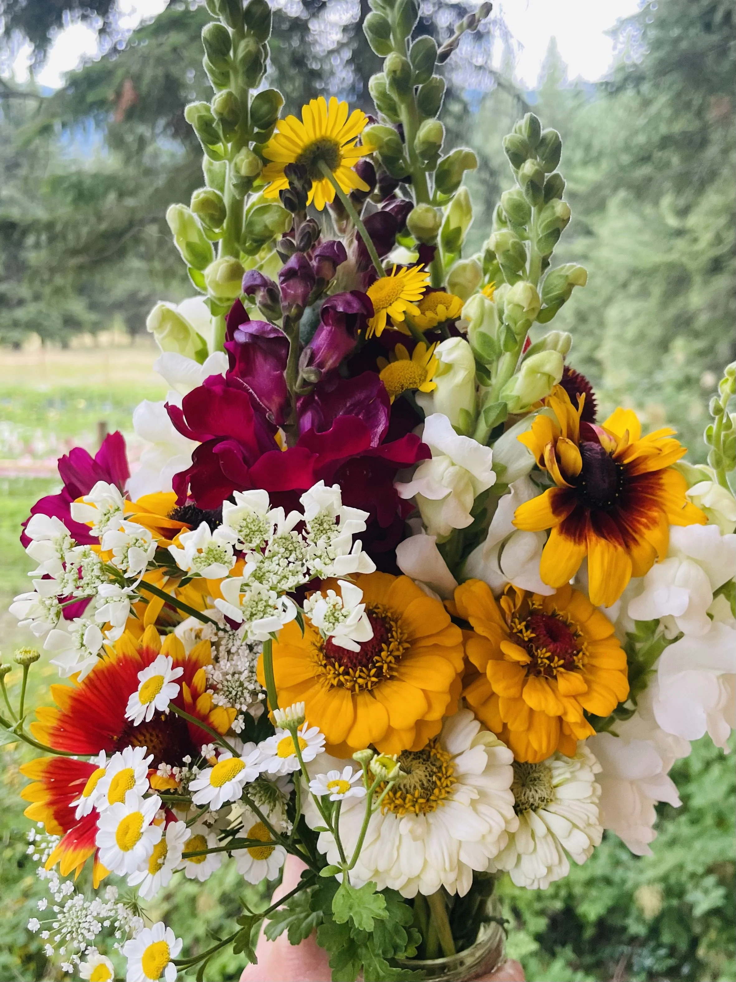 A colorful bouquet of various flowers including yellow, white, red, and purple blooms held outdoors with blurred green trees and sky in the background.