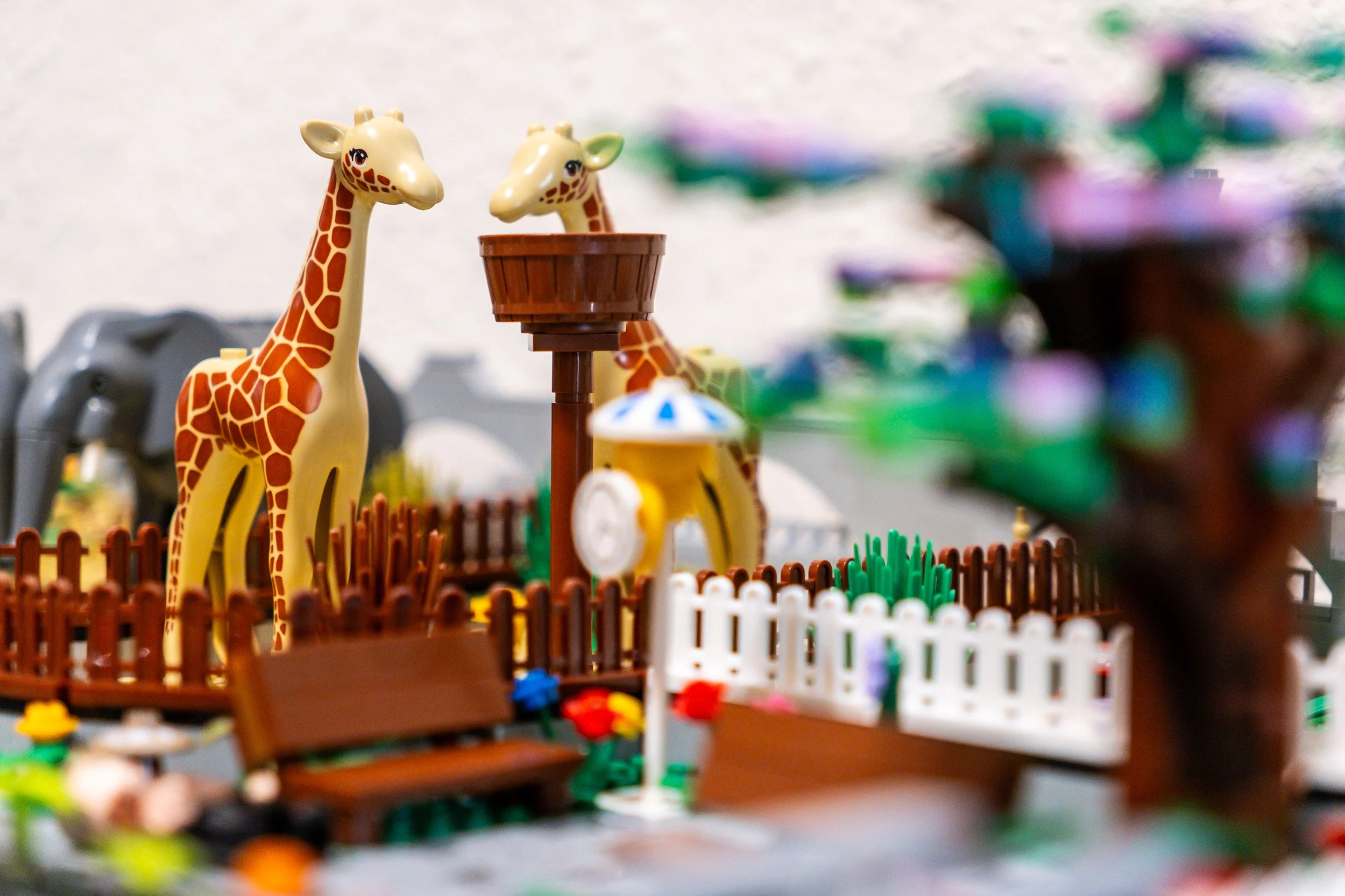Tierpark im BRICK HAUS