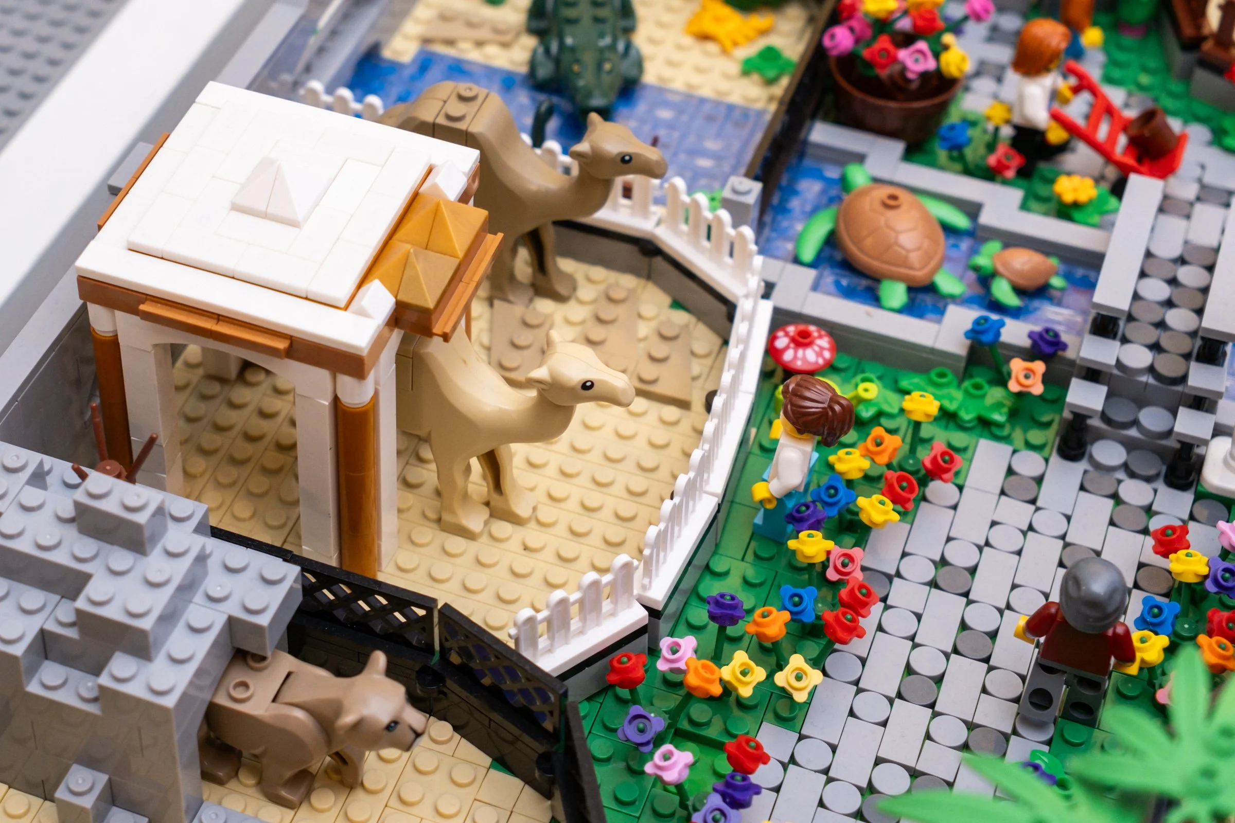 zoo_7.jpg