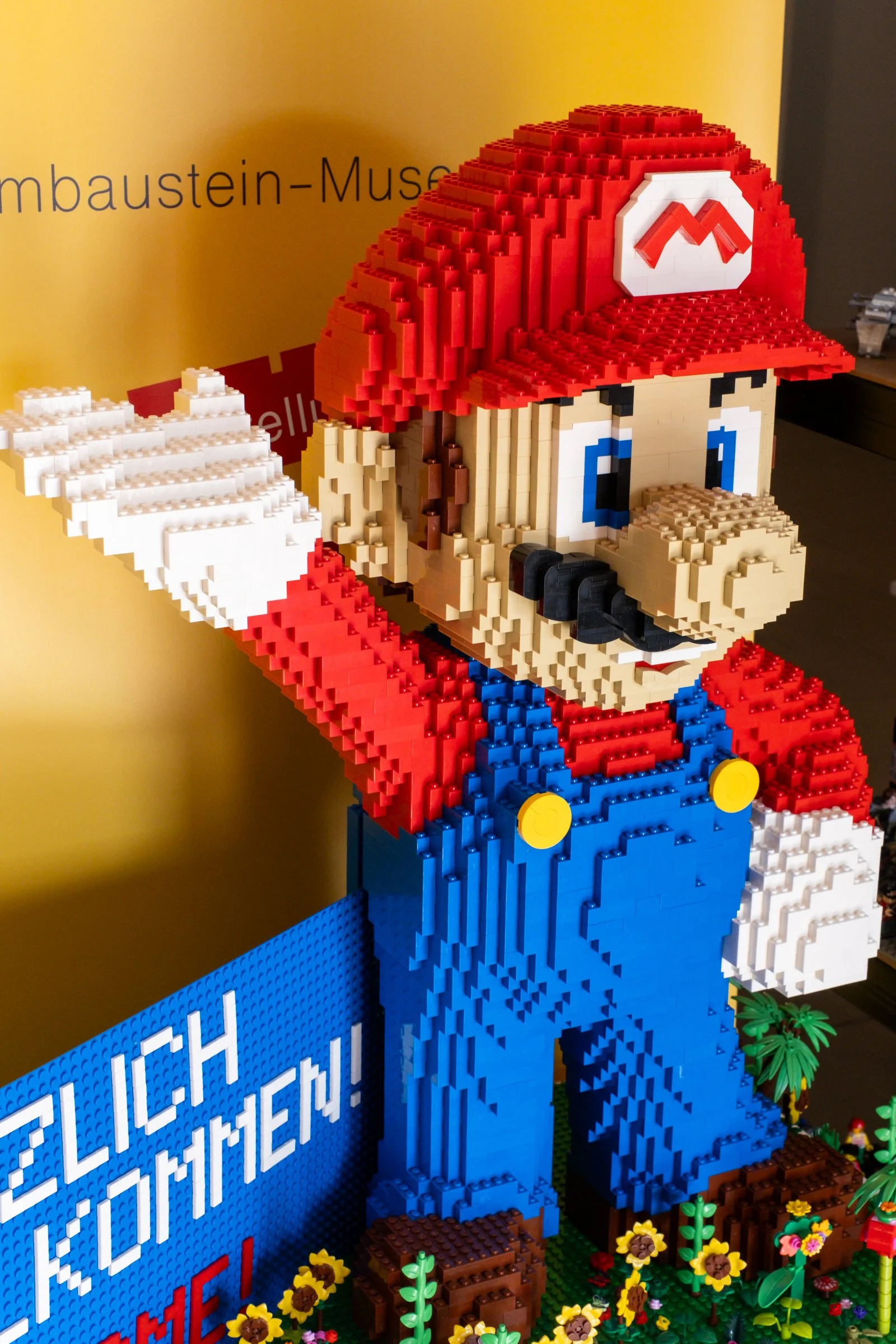 mario_2.jpg