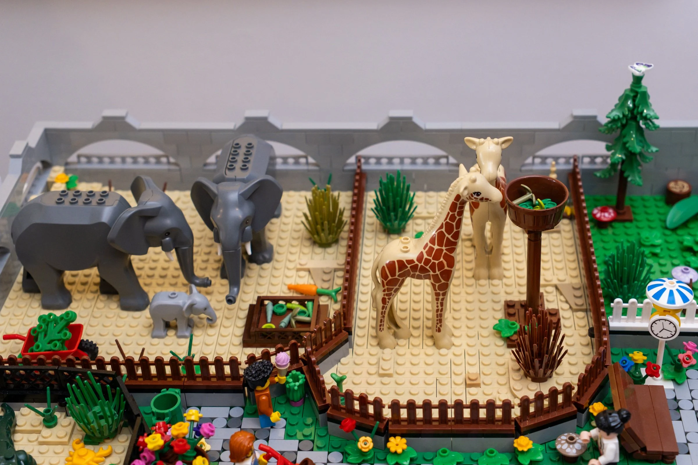 zoo_6.jpg